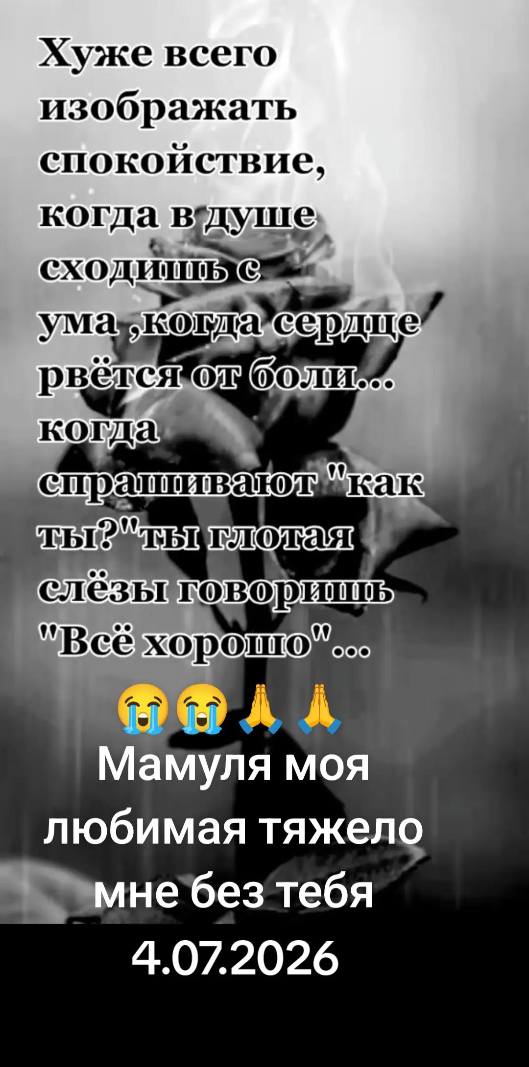 @user6103751502842светлана