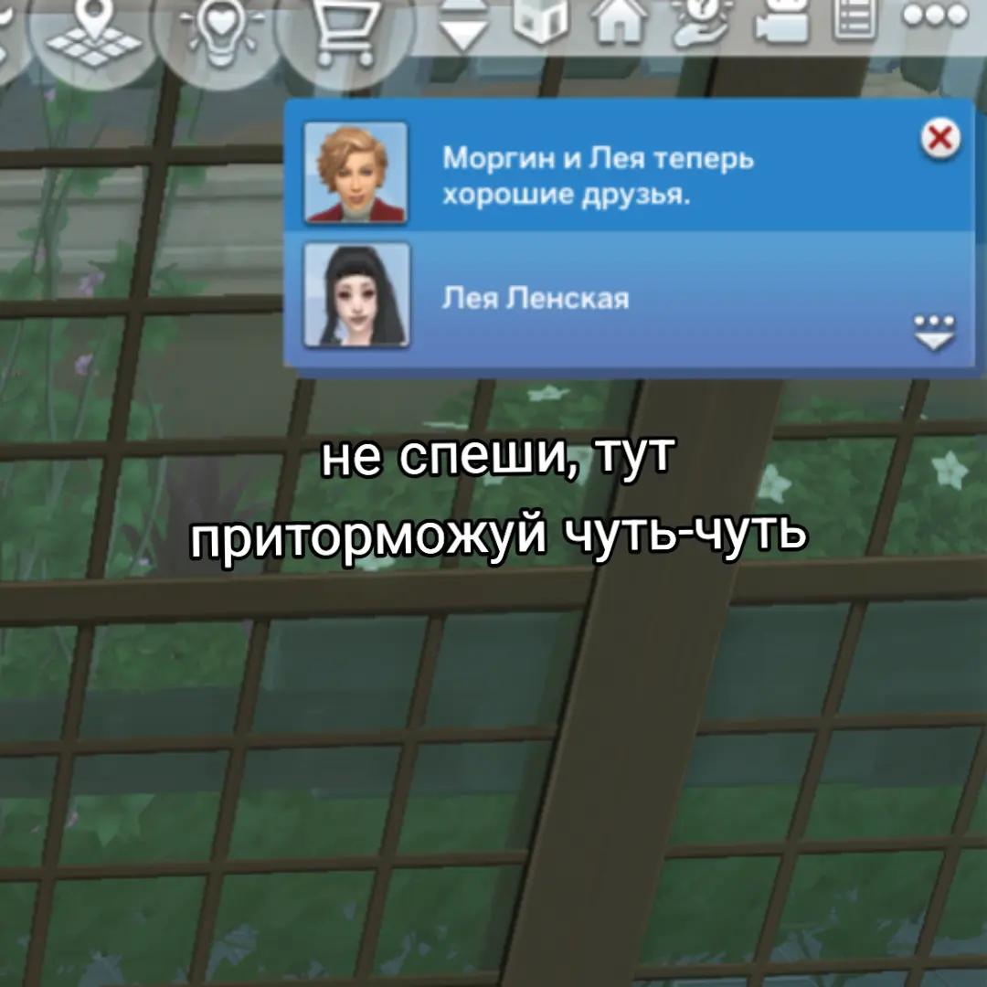 @ханифа