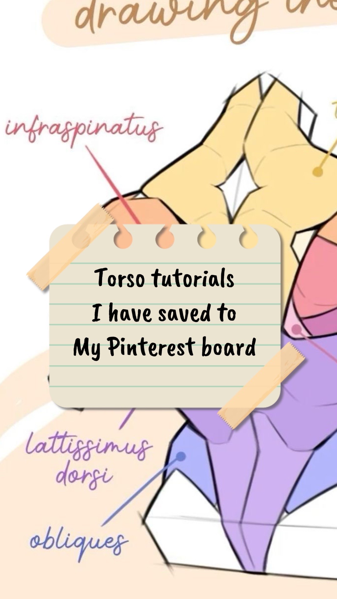 @꧁༺Tօʀɨ༻꧂