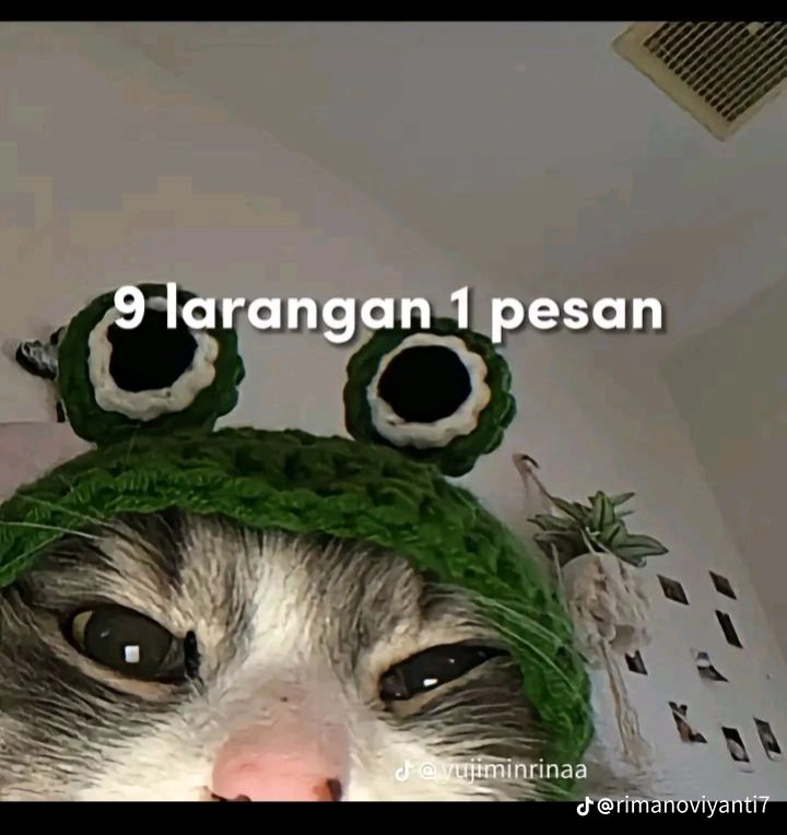 @๐๐ข๐๐ง ๐๐๐ง๐ญ๐จ