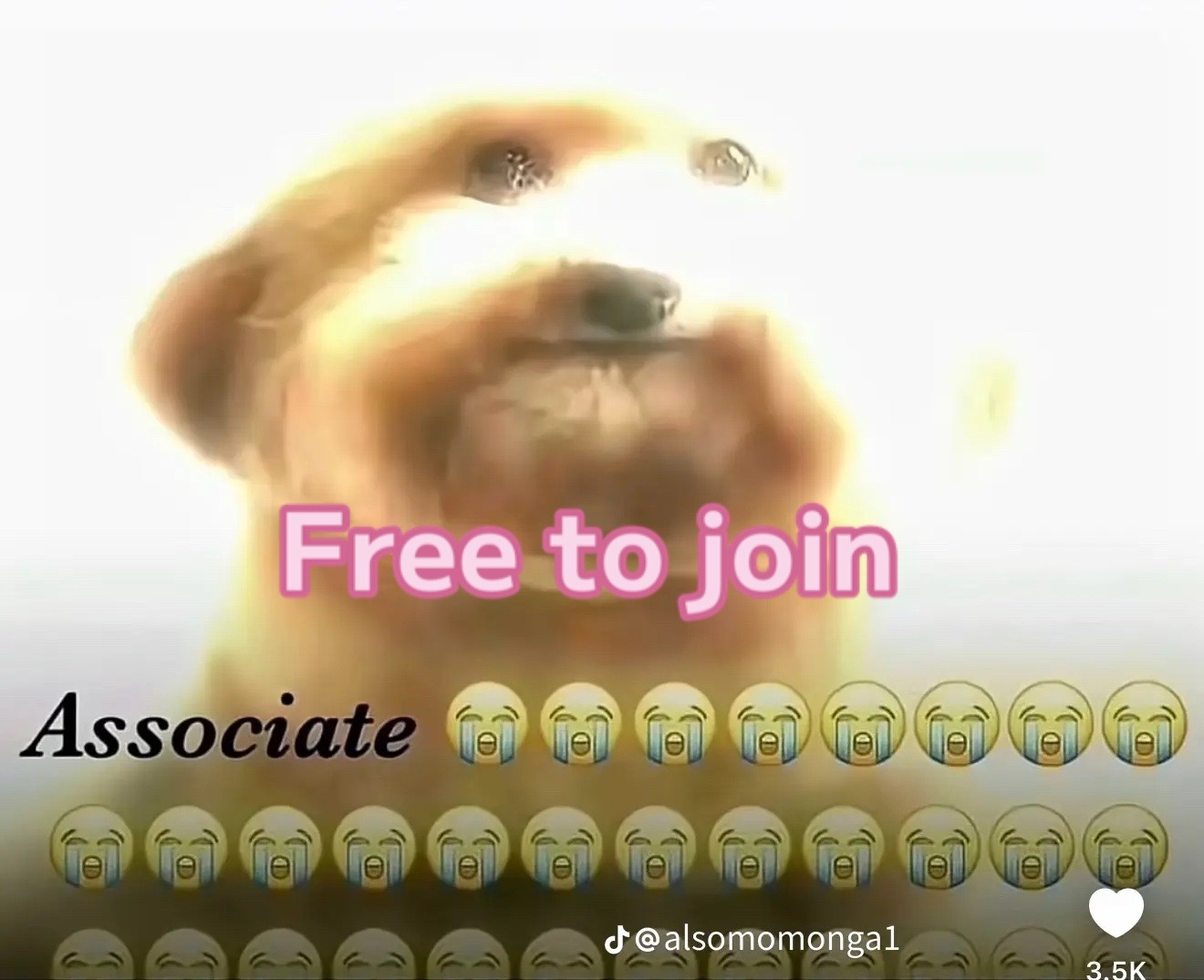 @🩷☆♡𝗇𝖺𝗅𝖺𝗇𝖽𝖺𝗀𝗂𝗋𝗅꧂★☆