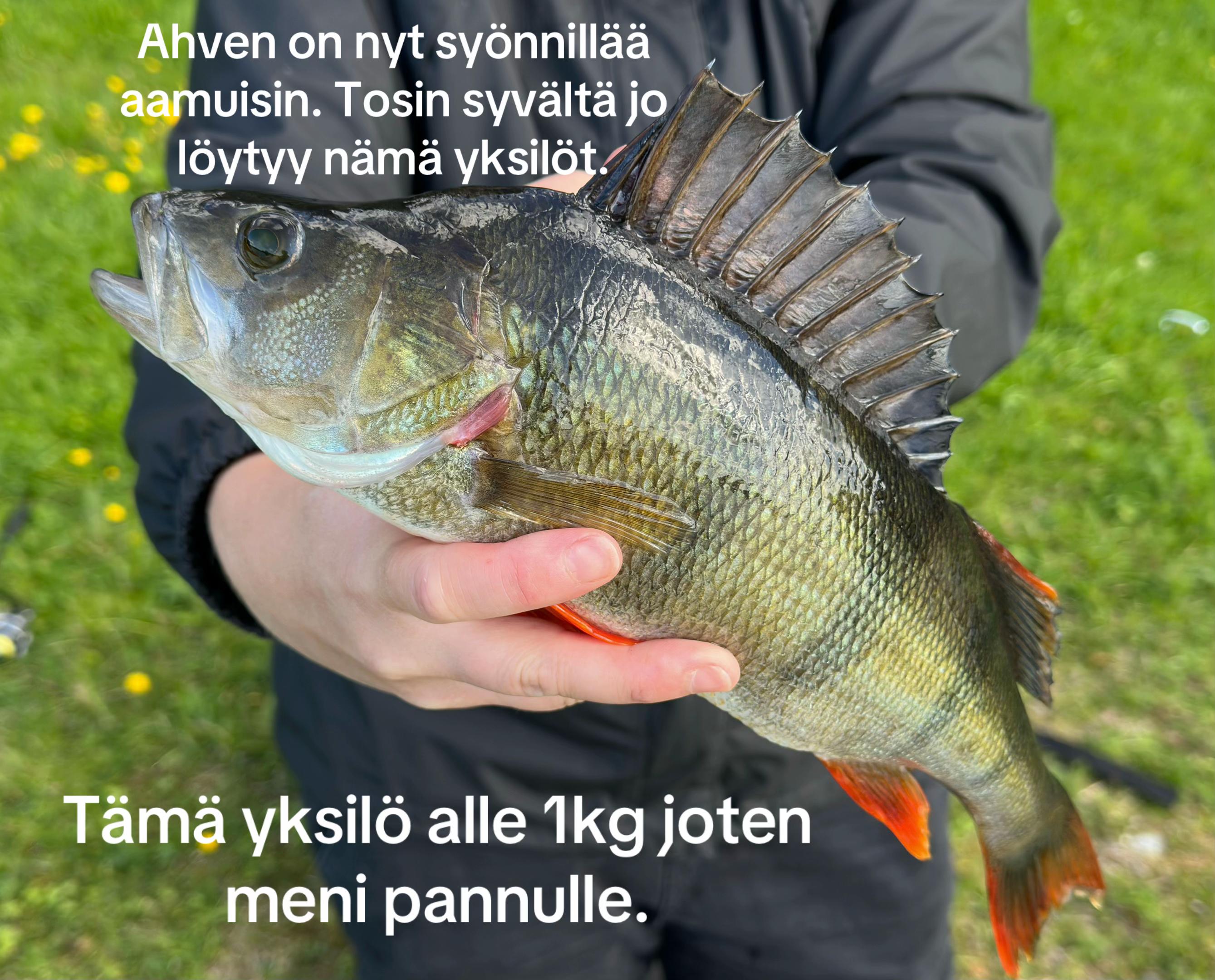 @Tinttu
