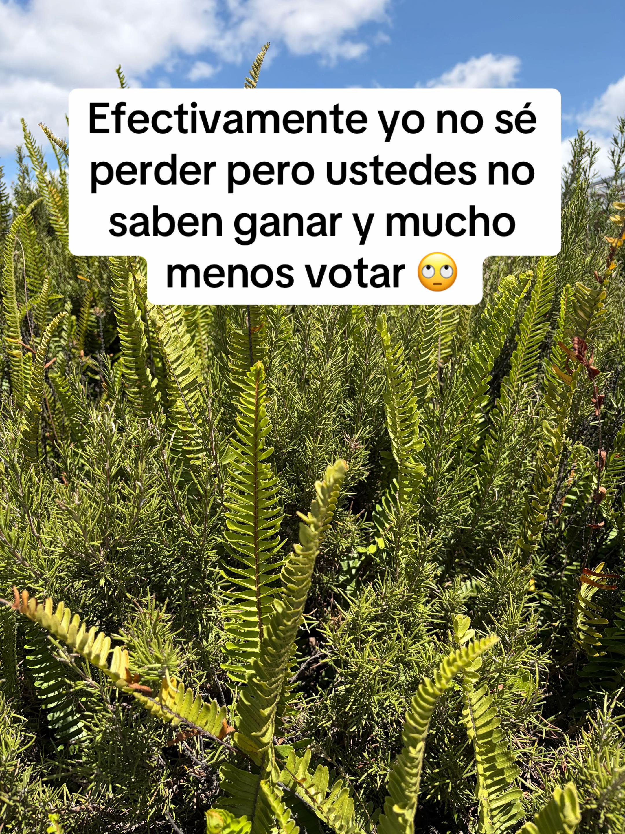 @viajando_con_kathe ✈️