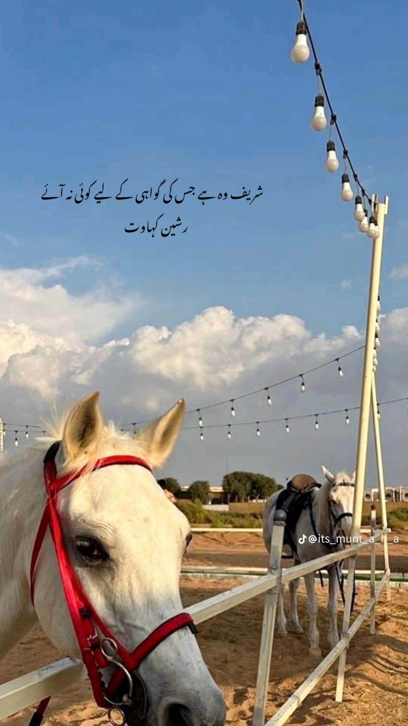 @Faizoon Forever
