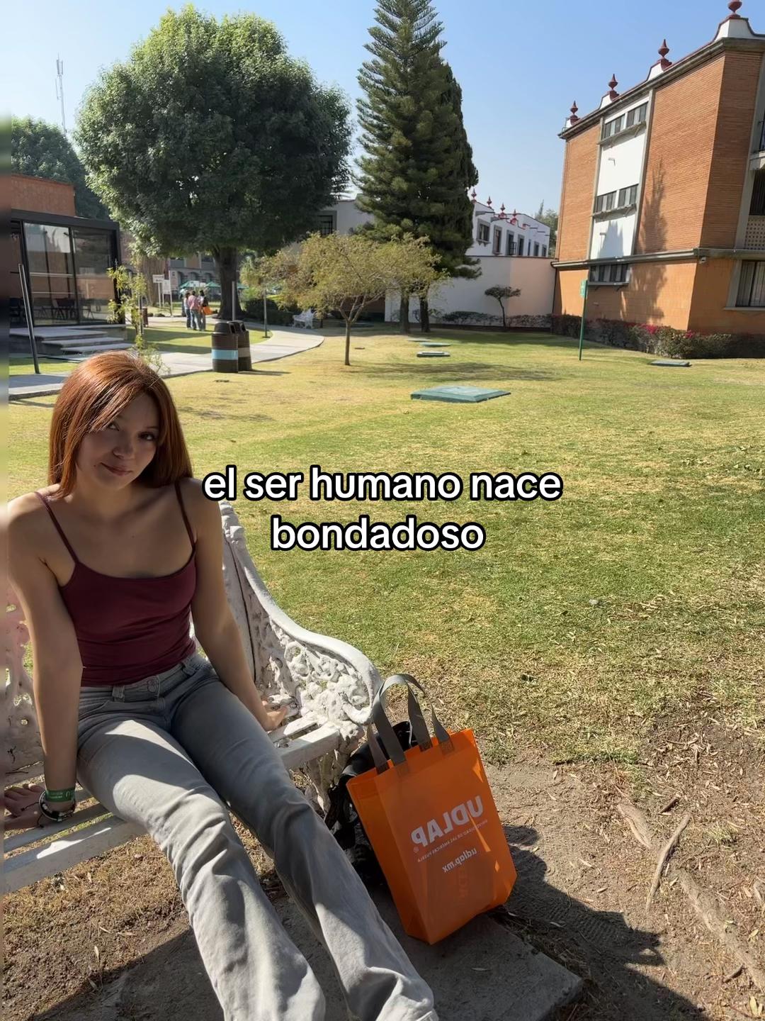 @milanesa