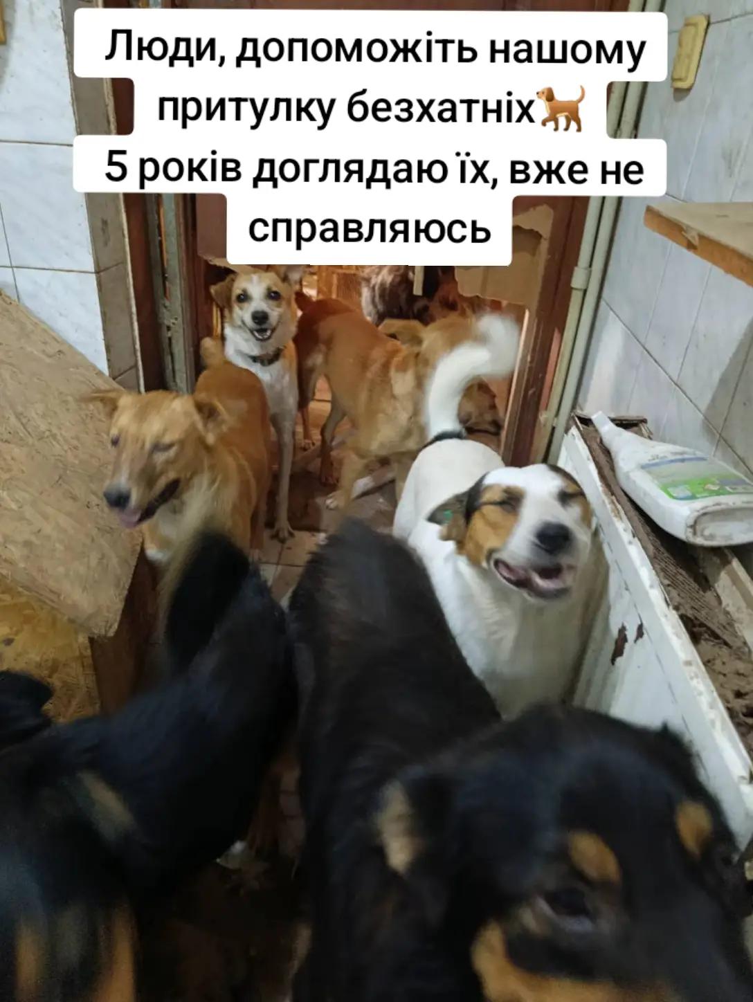 @tvarinkidobra