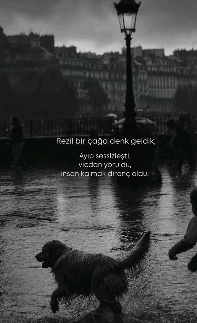 @☆🦋 ELİF.🦋☆