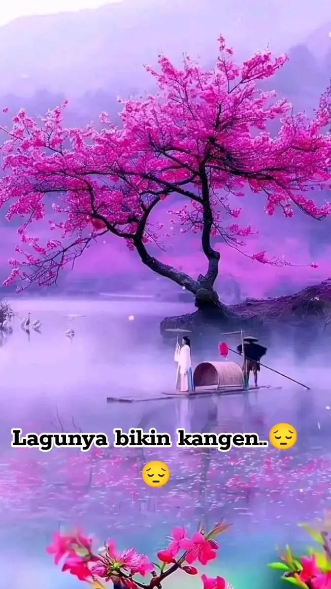 @ALIS.A.S๐น๐น๐น