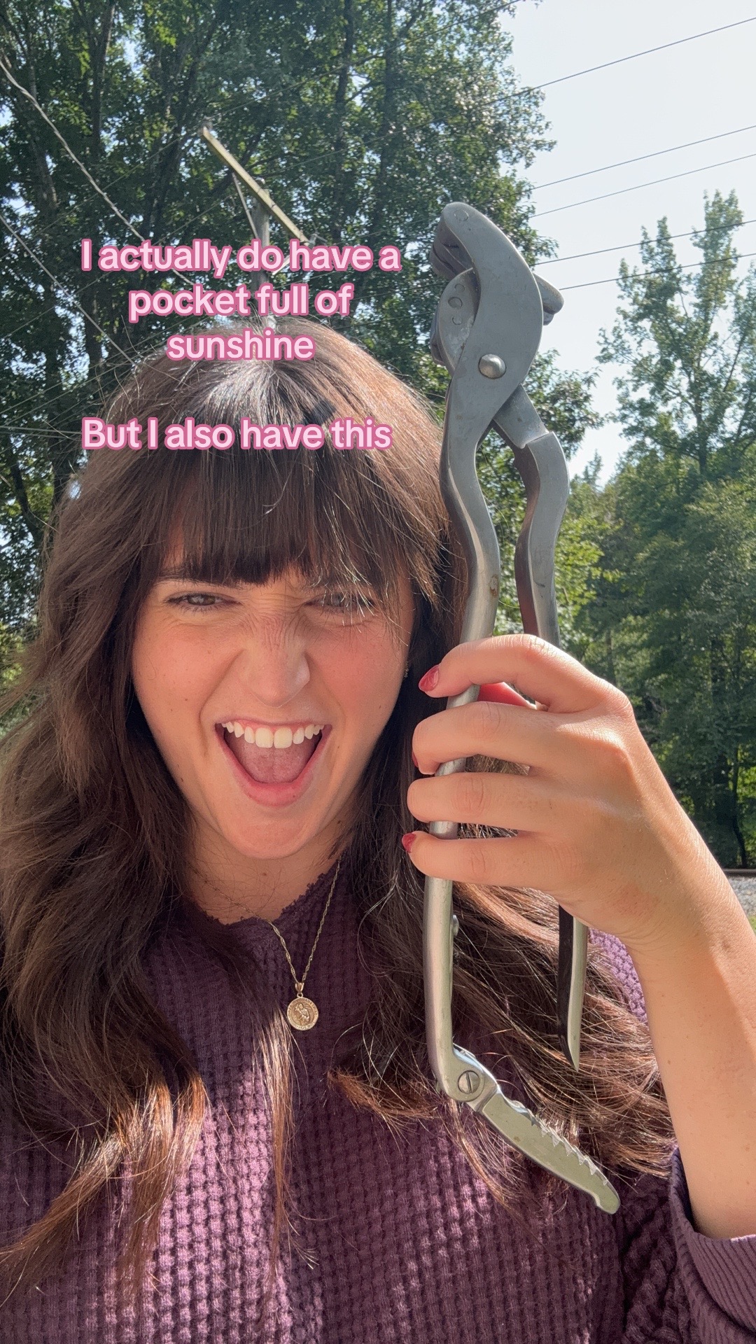 @futuredoctormegdvm