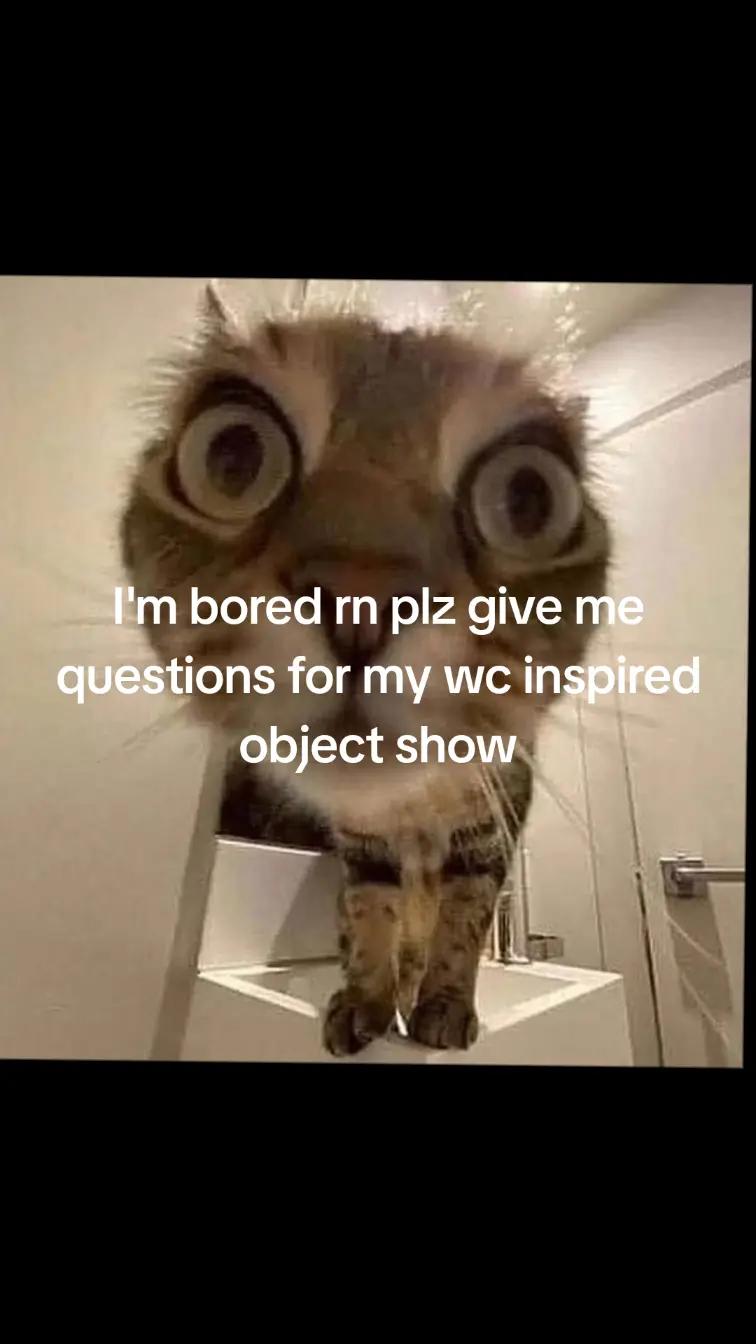 @dudette   ..🦦