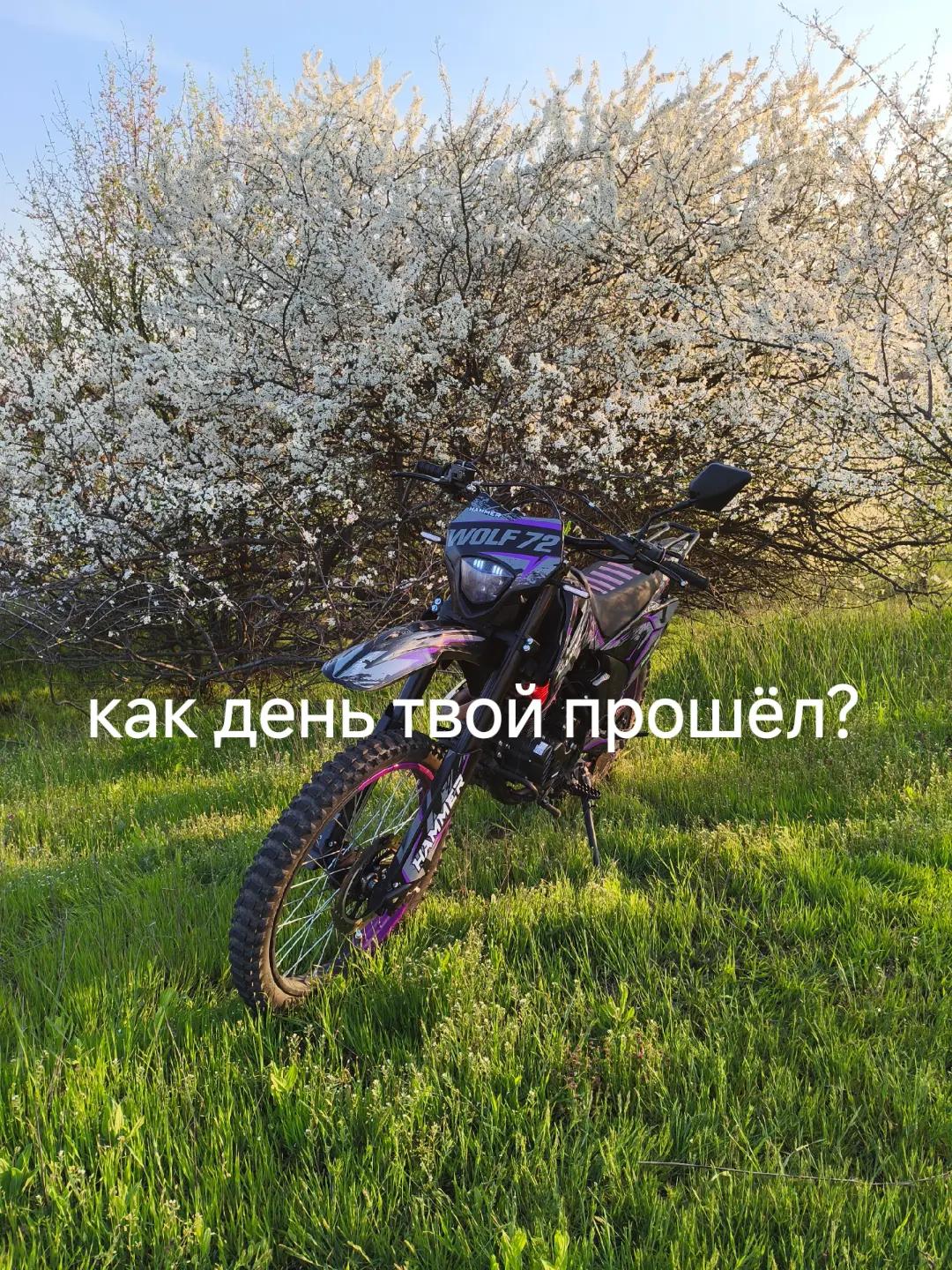 @Larek