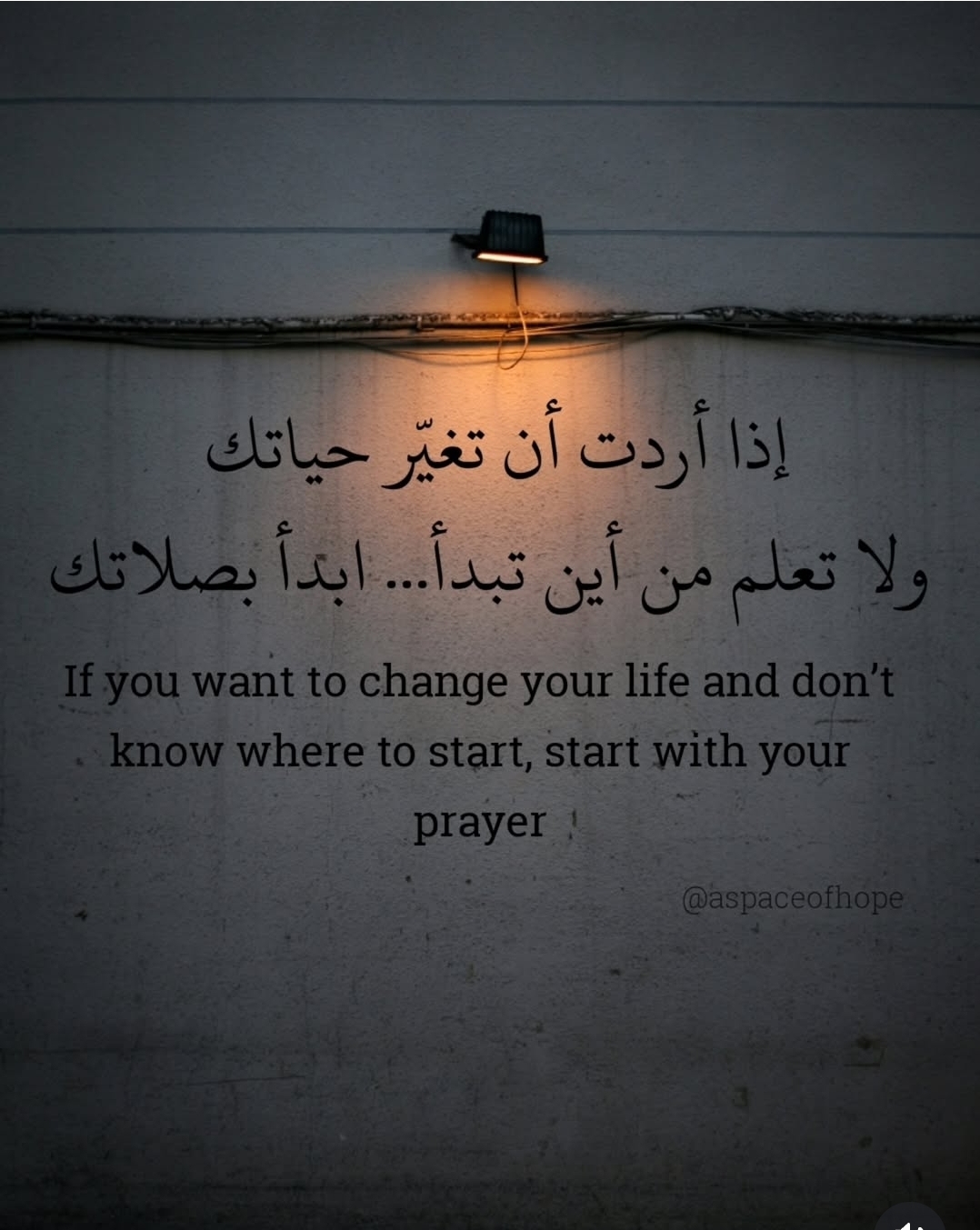 @Dr.Muftah Elsewedy1