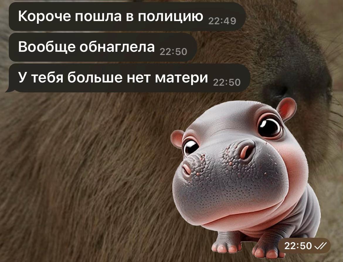 @netnebydy2