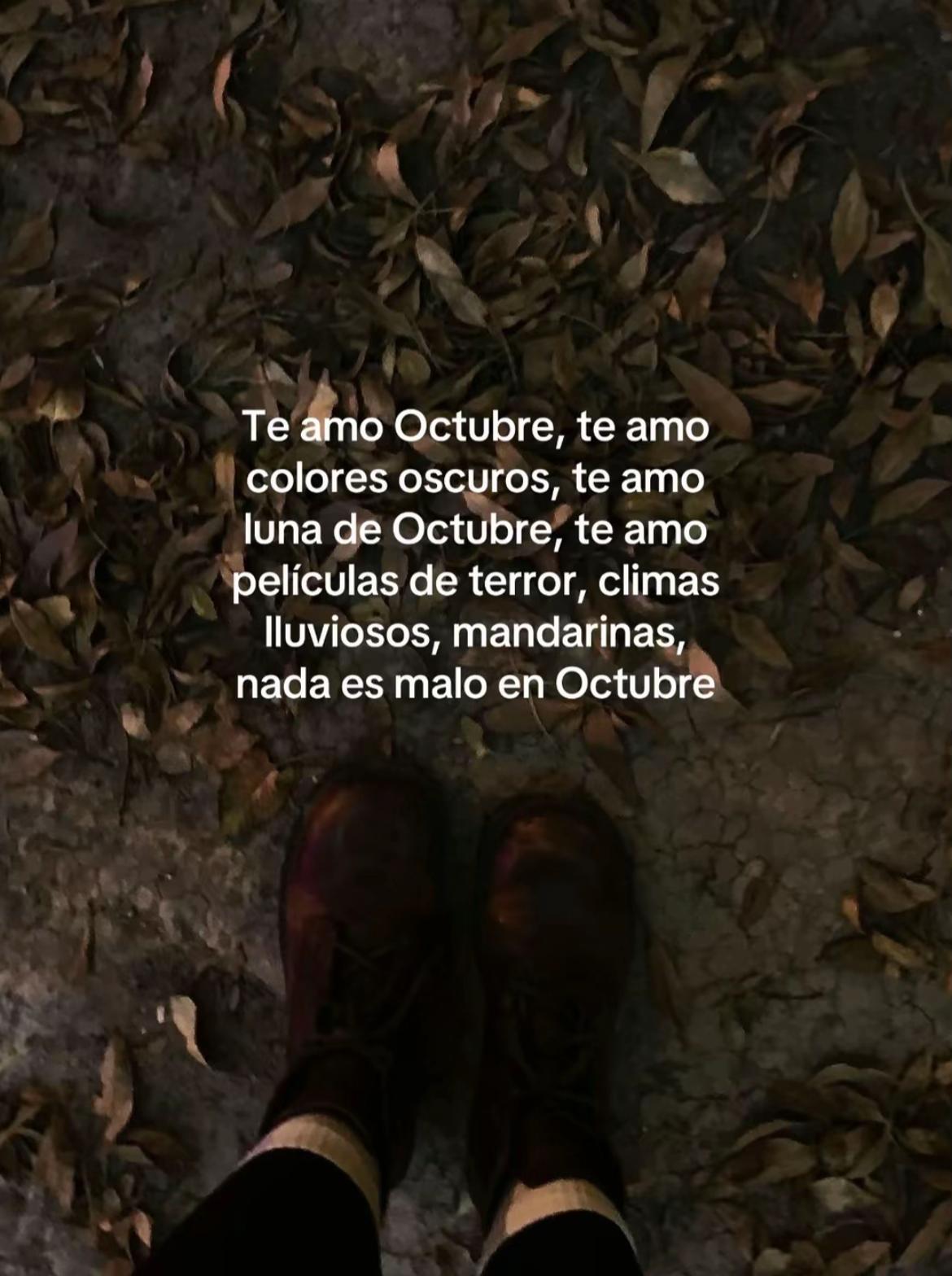 @Loli🌸