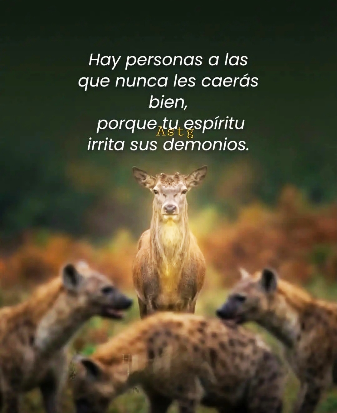 @200CAIDOS