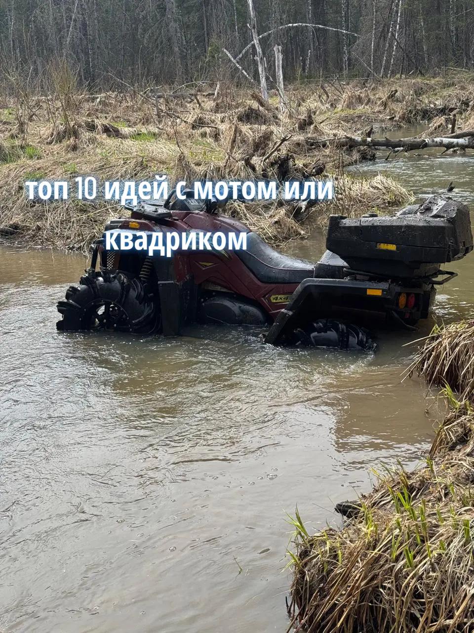 @_Cemka_🕷️