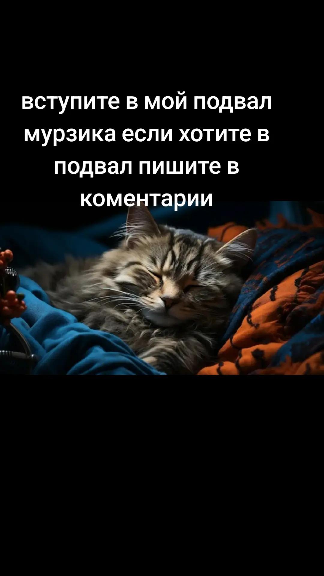 @Подвал МУРЗИКА