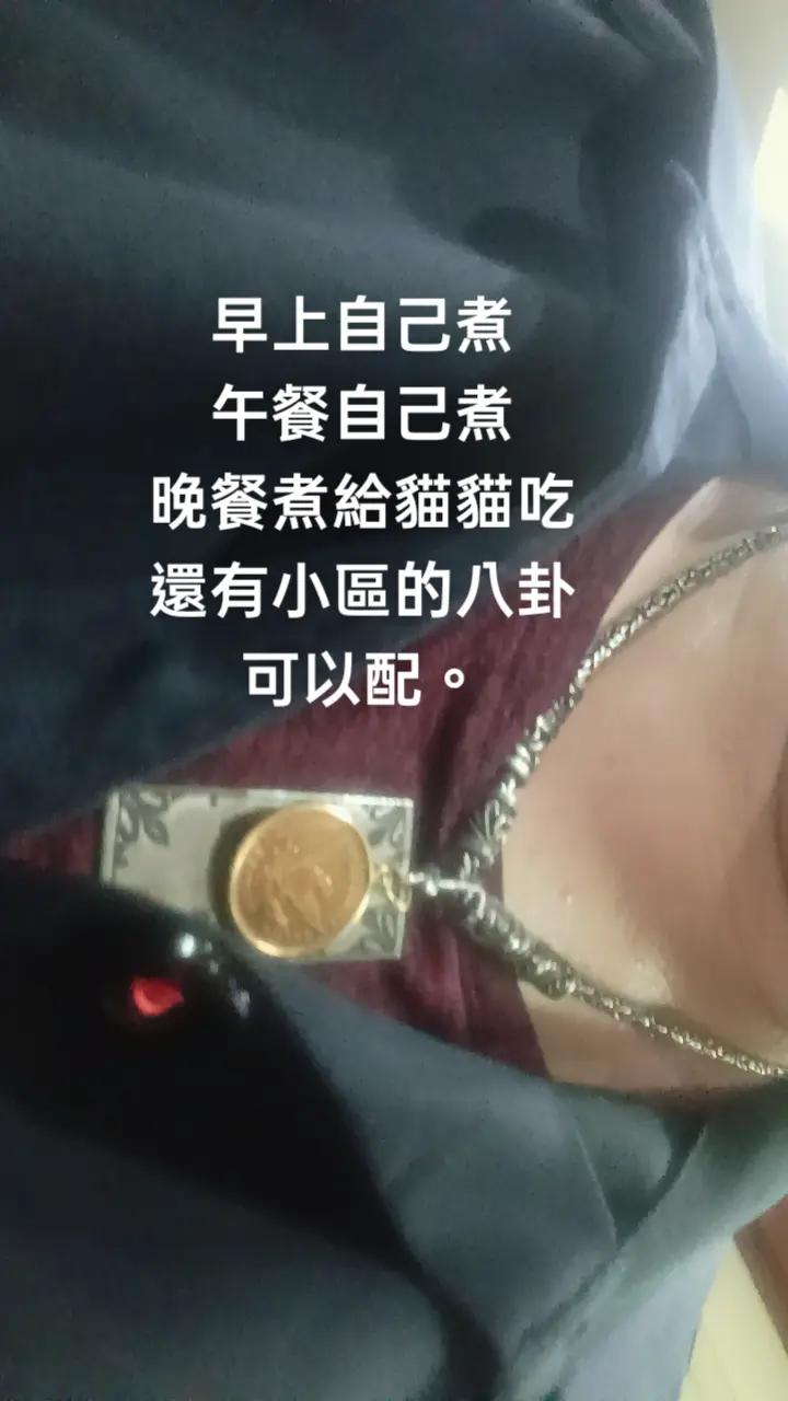 @糧巢偉-貓咪執事