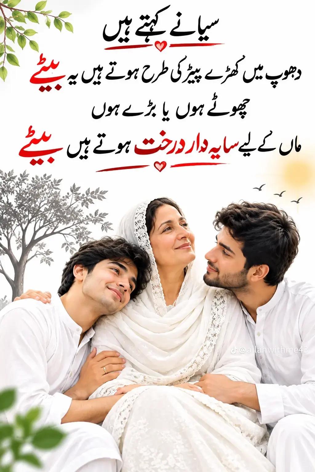 @AQ Collection
