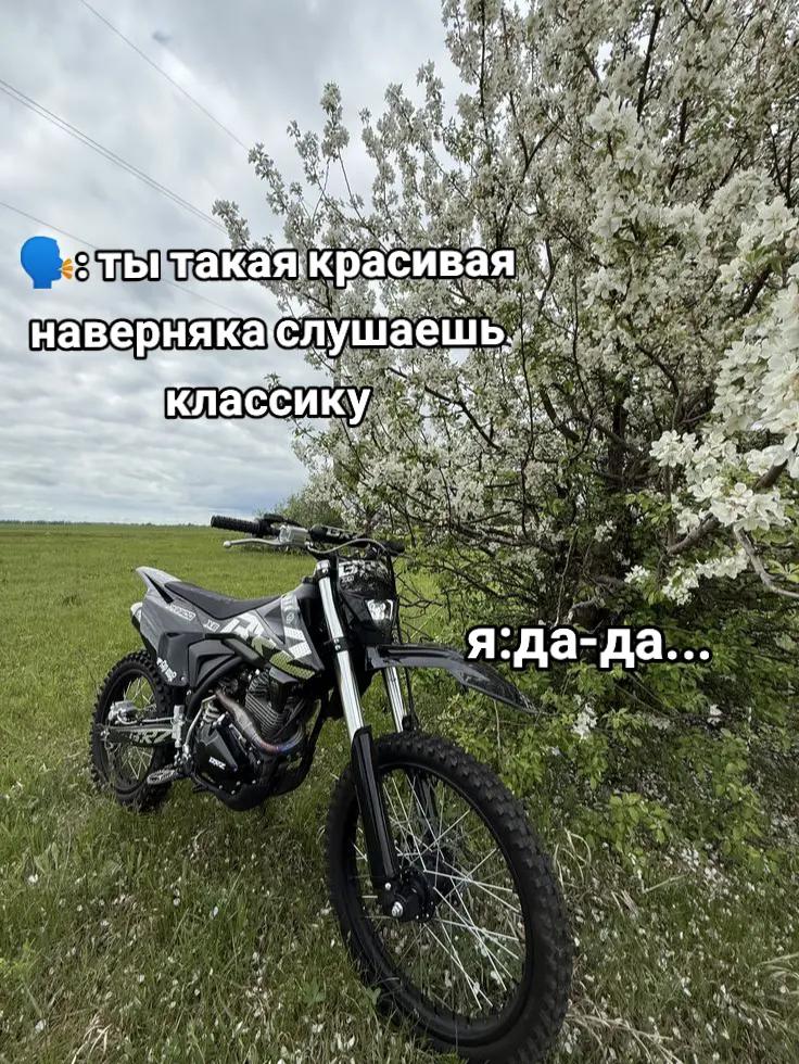 @*+:。.。Мото Джуди。.。:+*