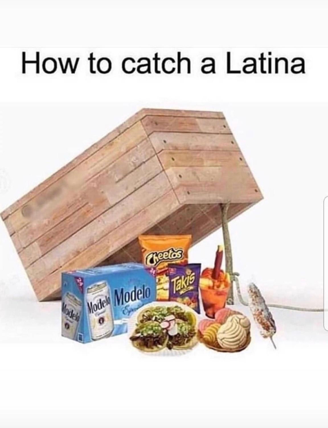 @Callita
