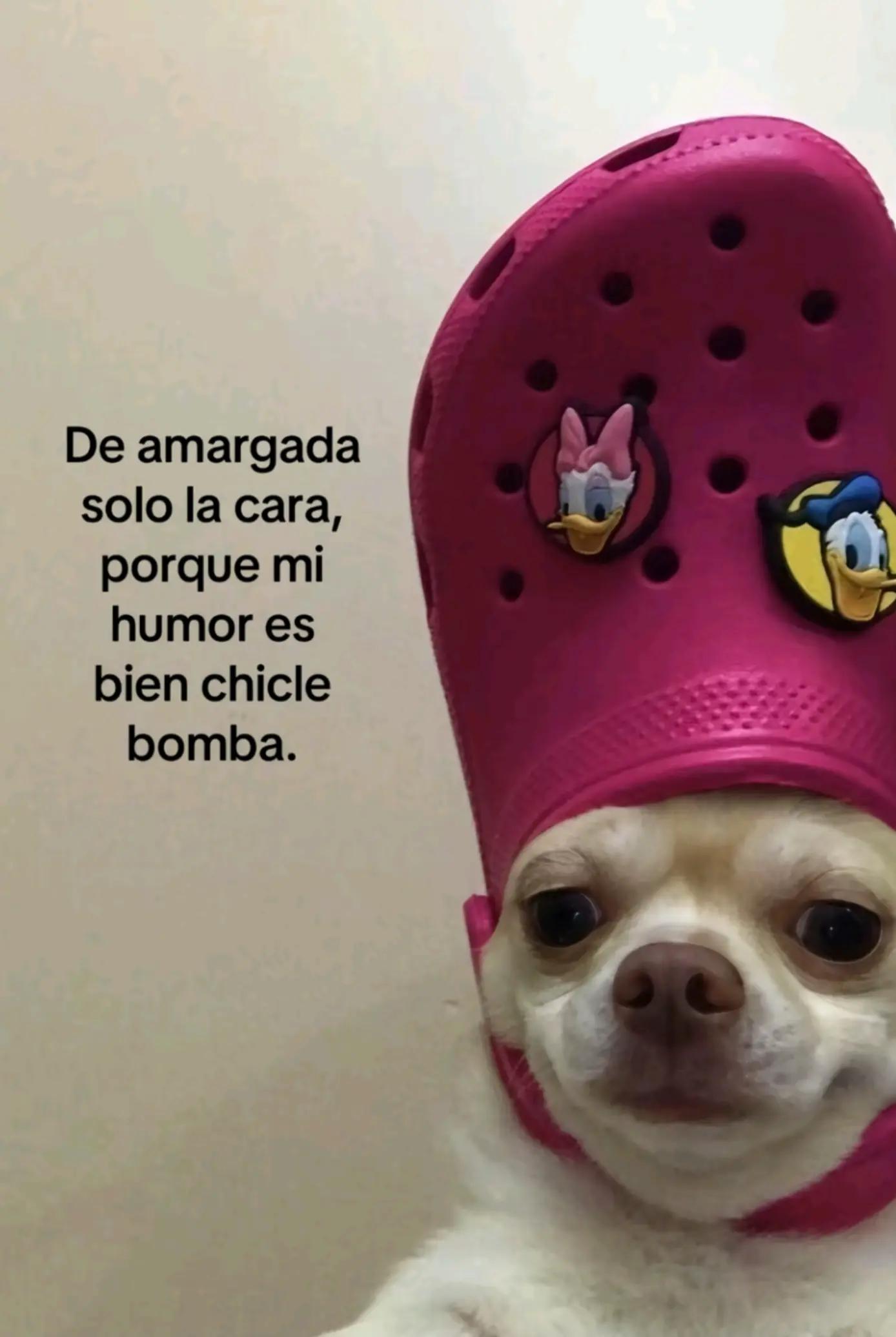 @Estefania