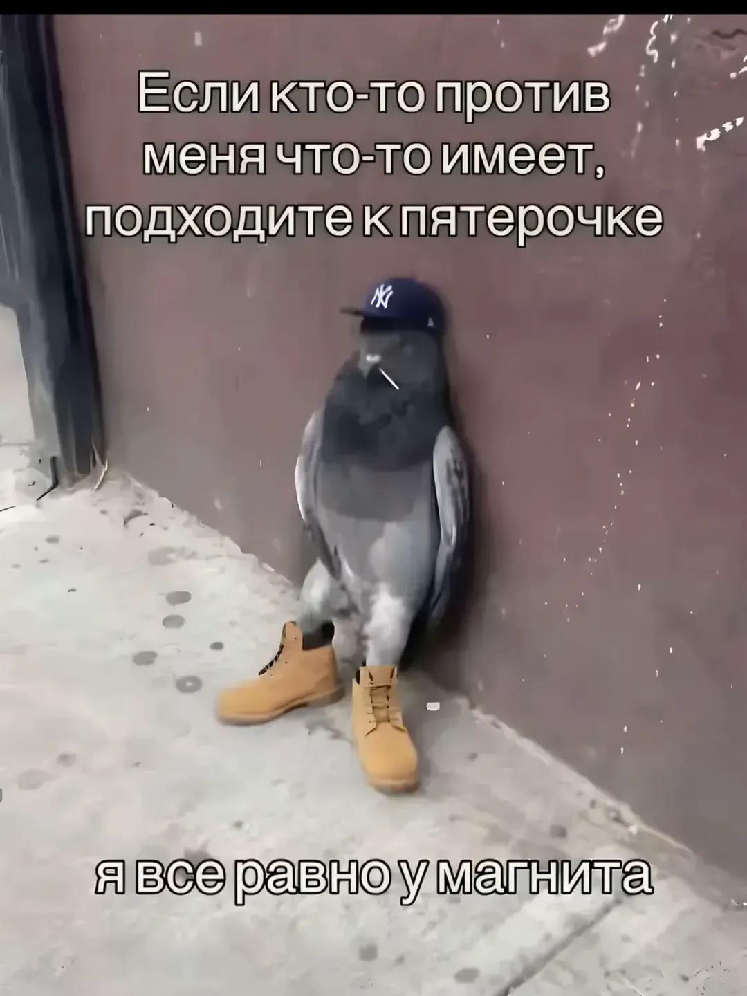 @qq