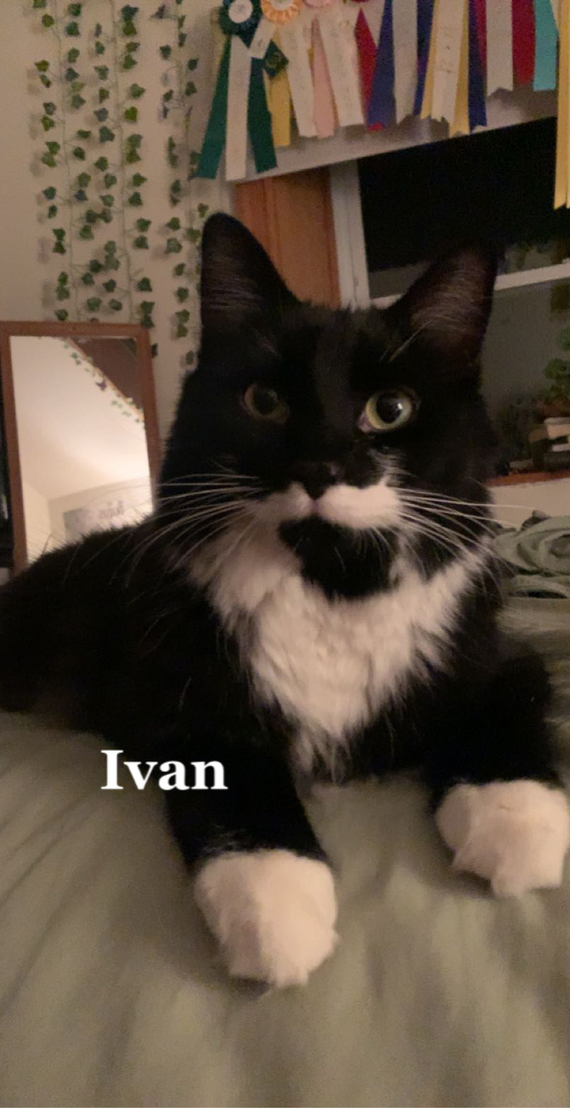 @Ivan