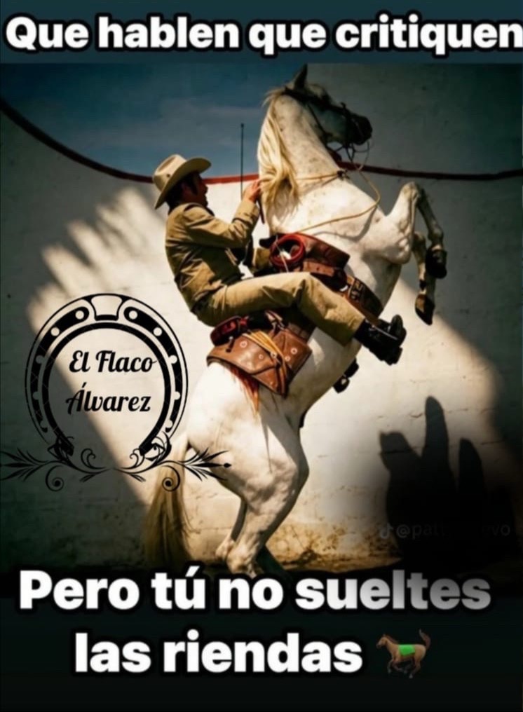 @El Flaco &Aacute;lvarez