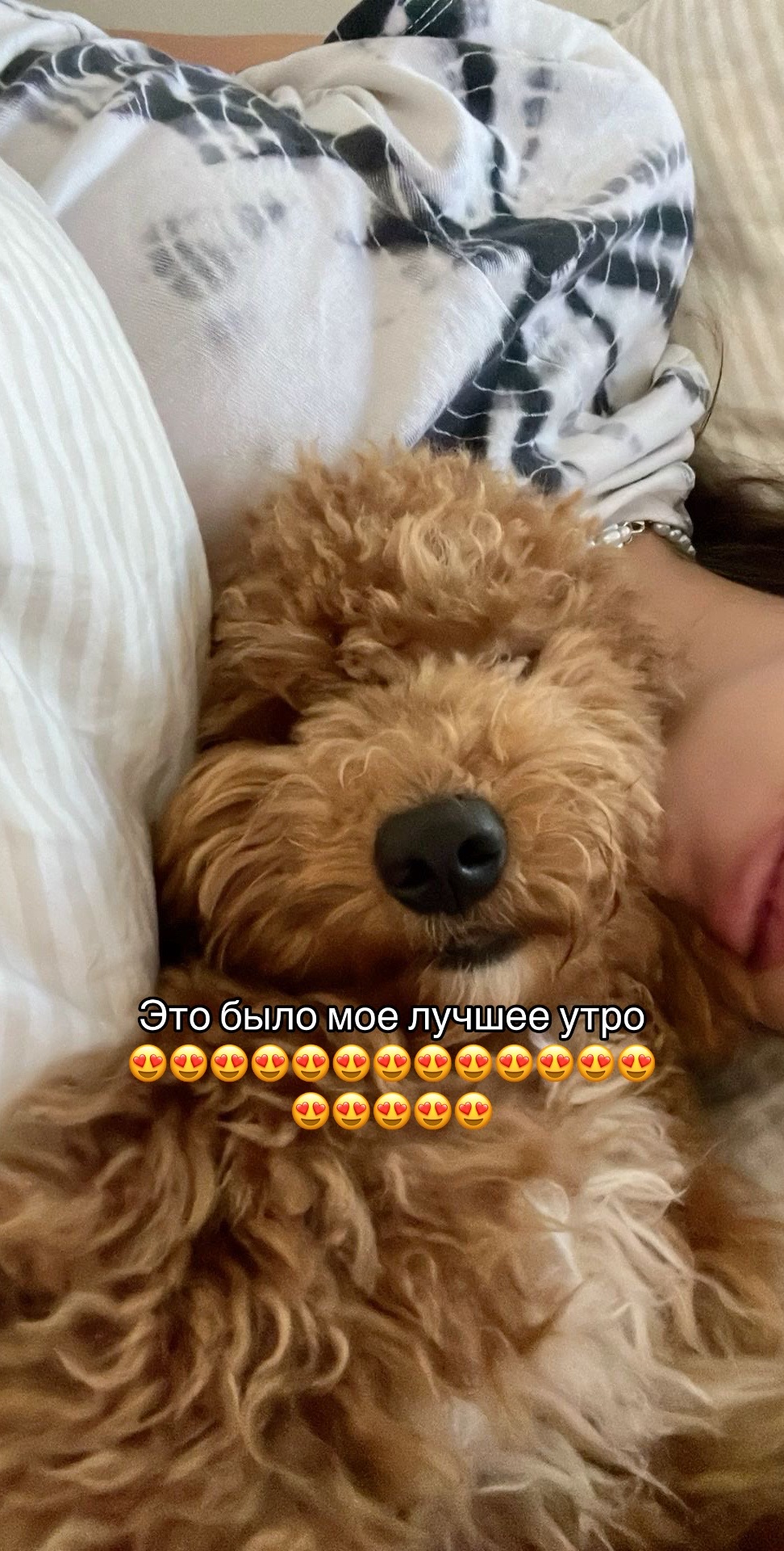 @hormonechemistry_