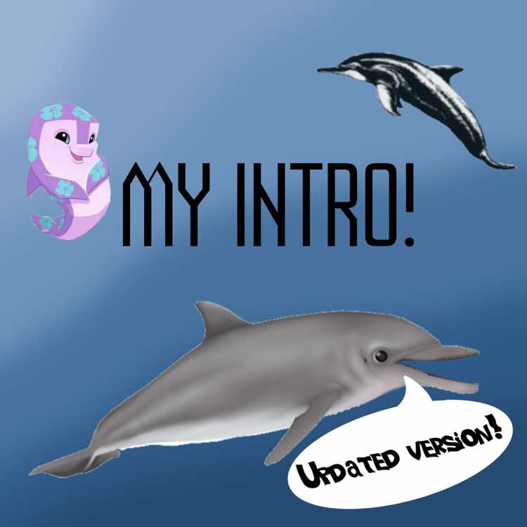 @🐋 Tiffany 🐬
