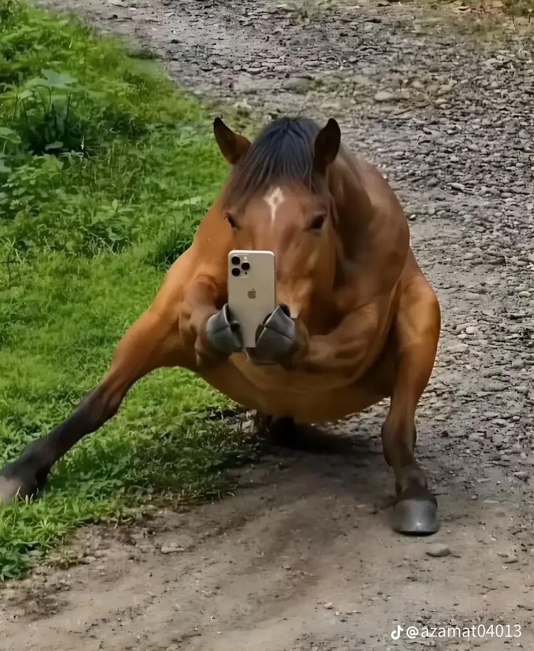 @rxzⁿtem/ tw1ksi2