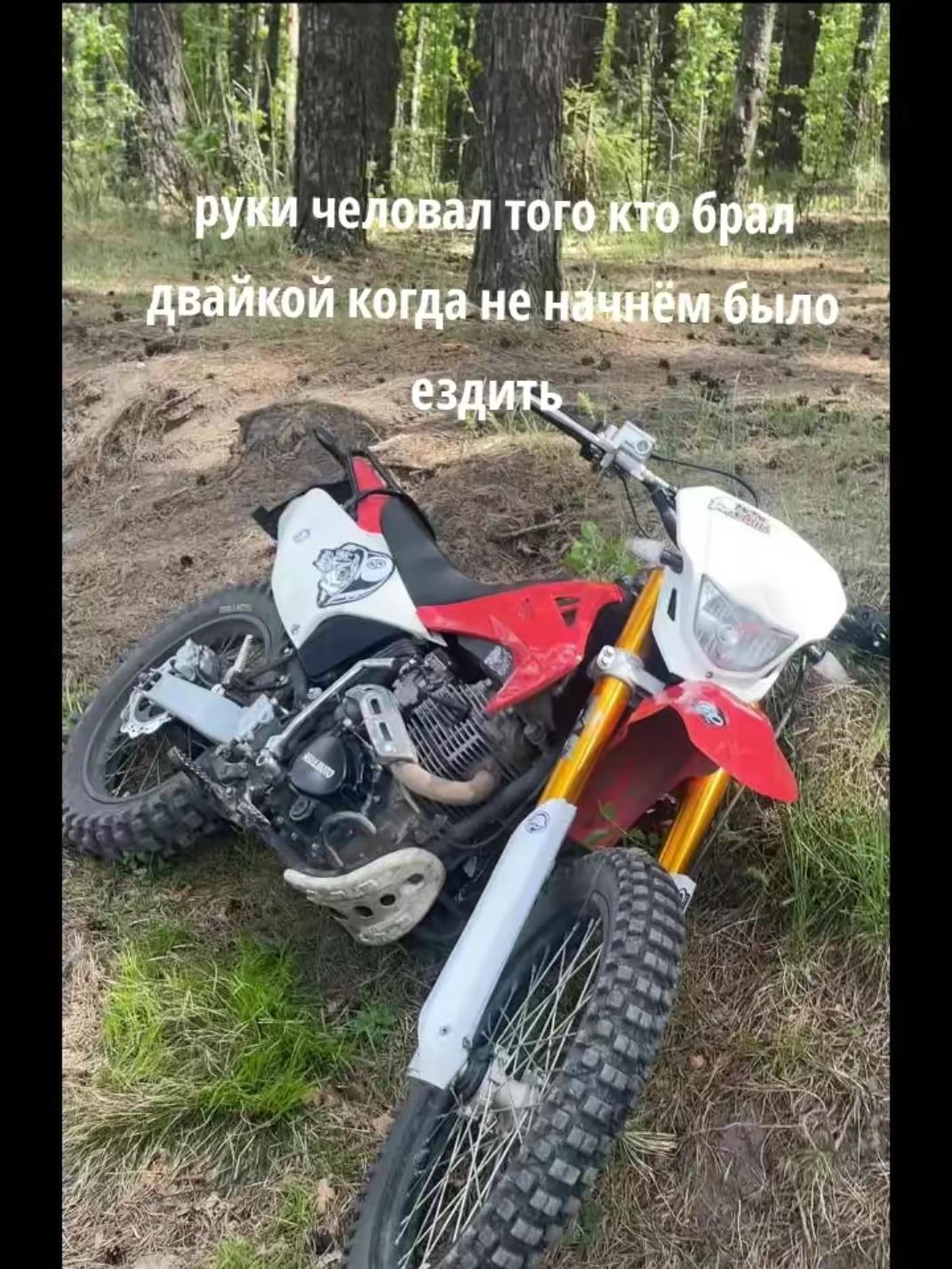 @_Cemka_🕷️