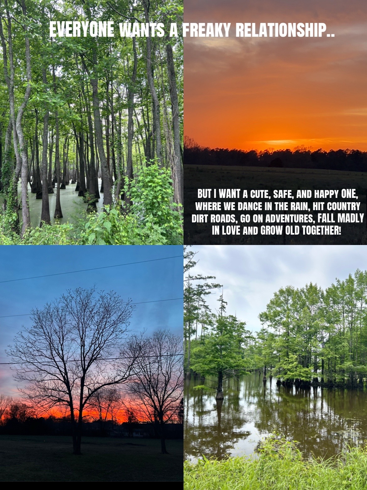 @hippietipp