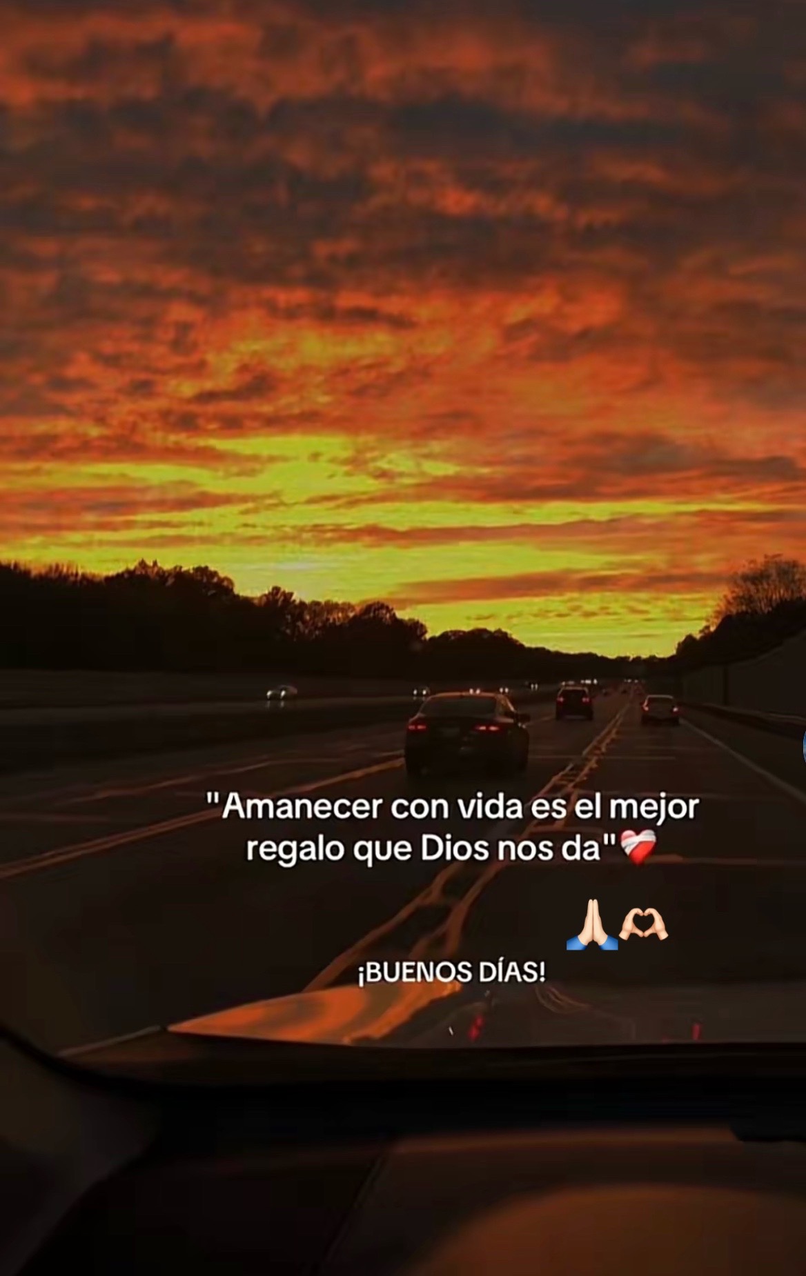 @Piscis🐬🧸🇬🇹❤️&zwj;🩹🙏🏻☘️❤️&zwj;🔥