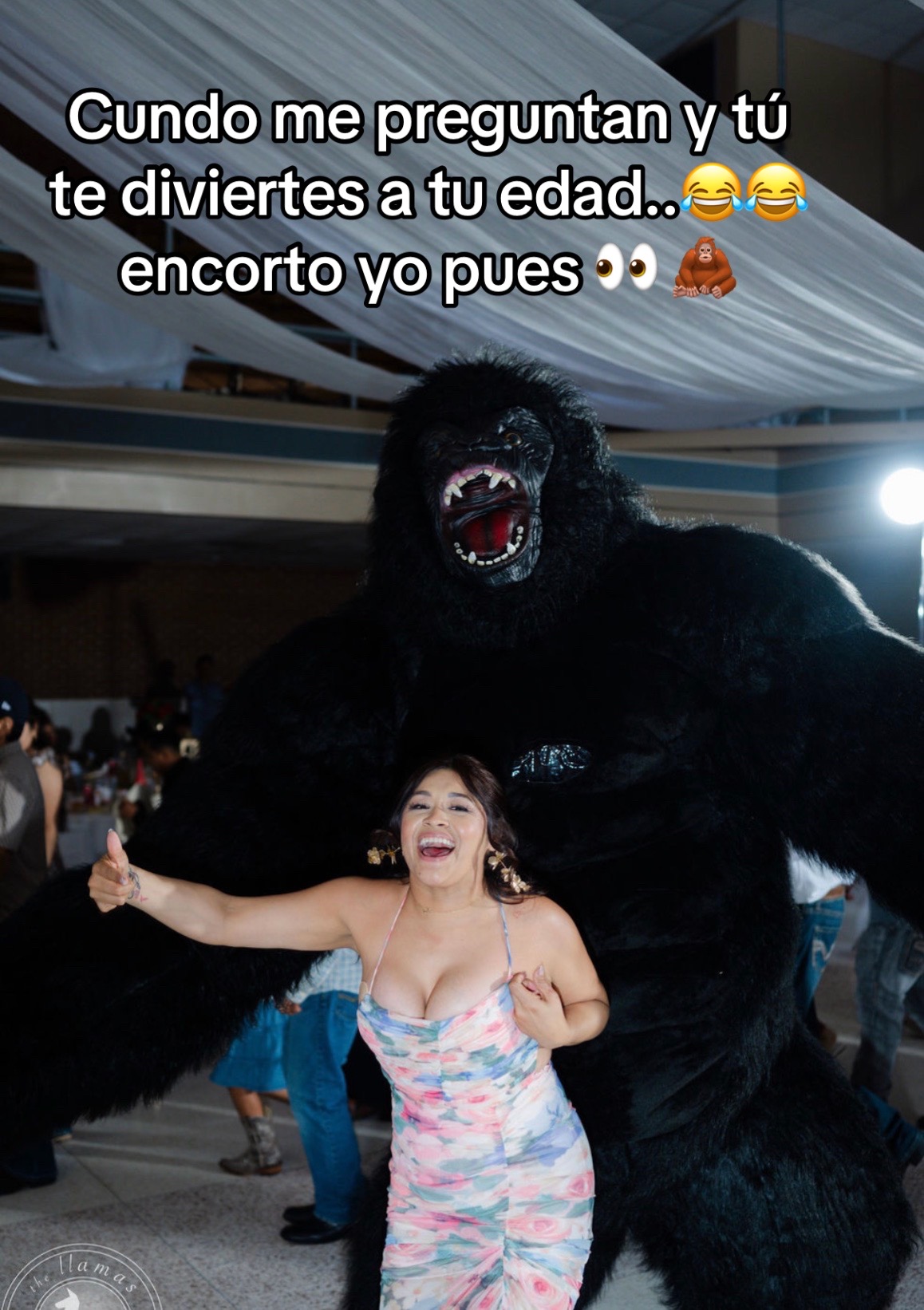 @Lacomadre❤️tiktok🧸oficial🐼