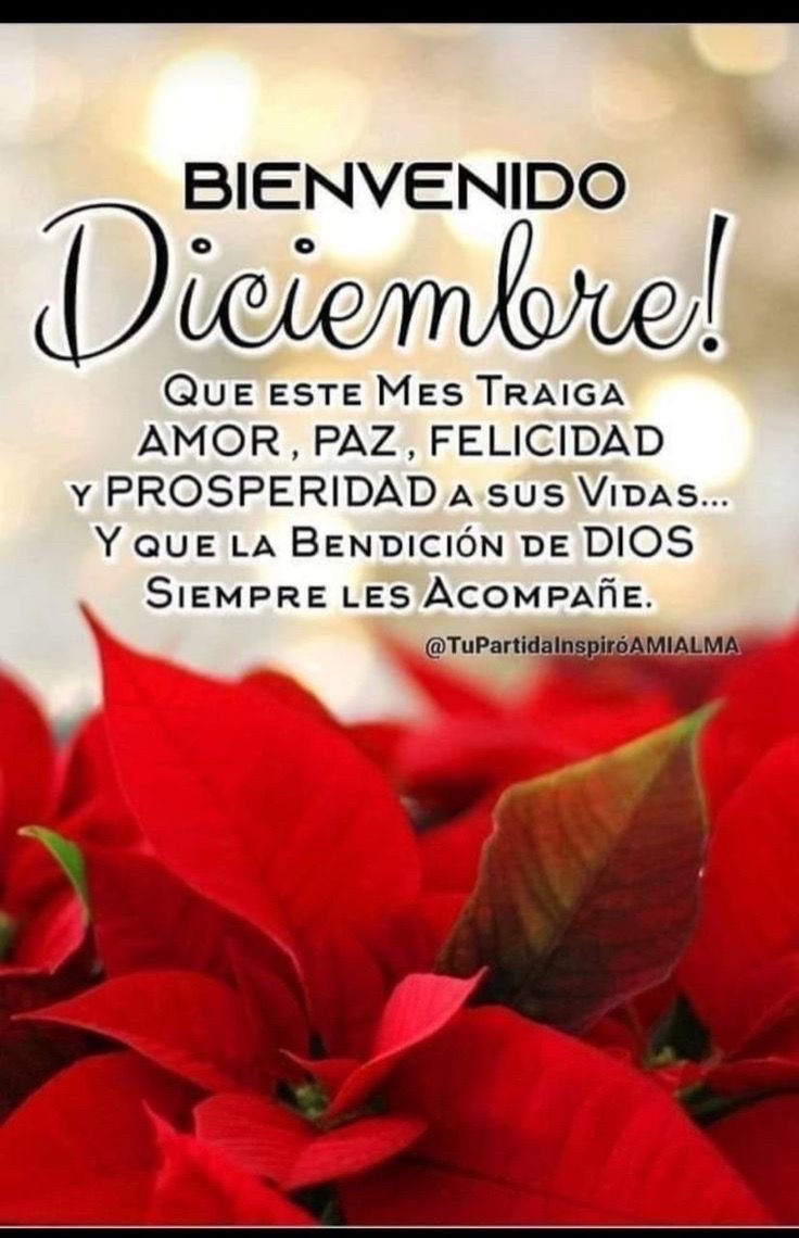@🌷🎵 ROCA FUERTE🫧🩵