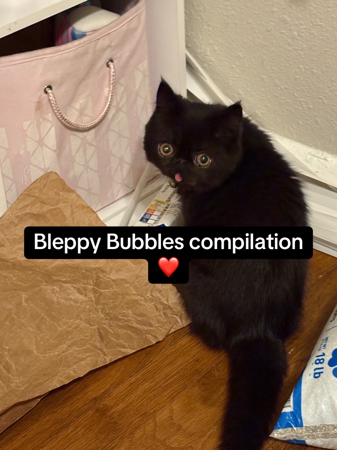 @Bubbles
