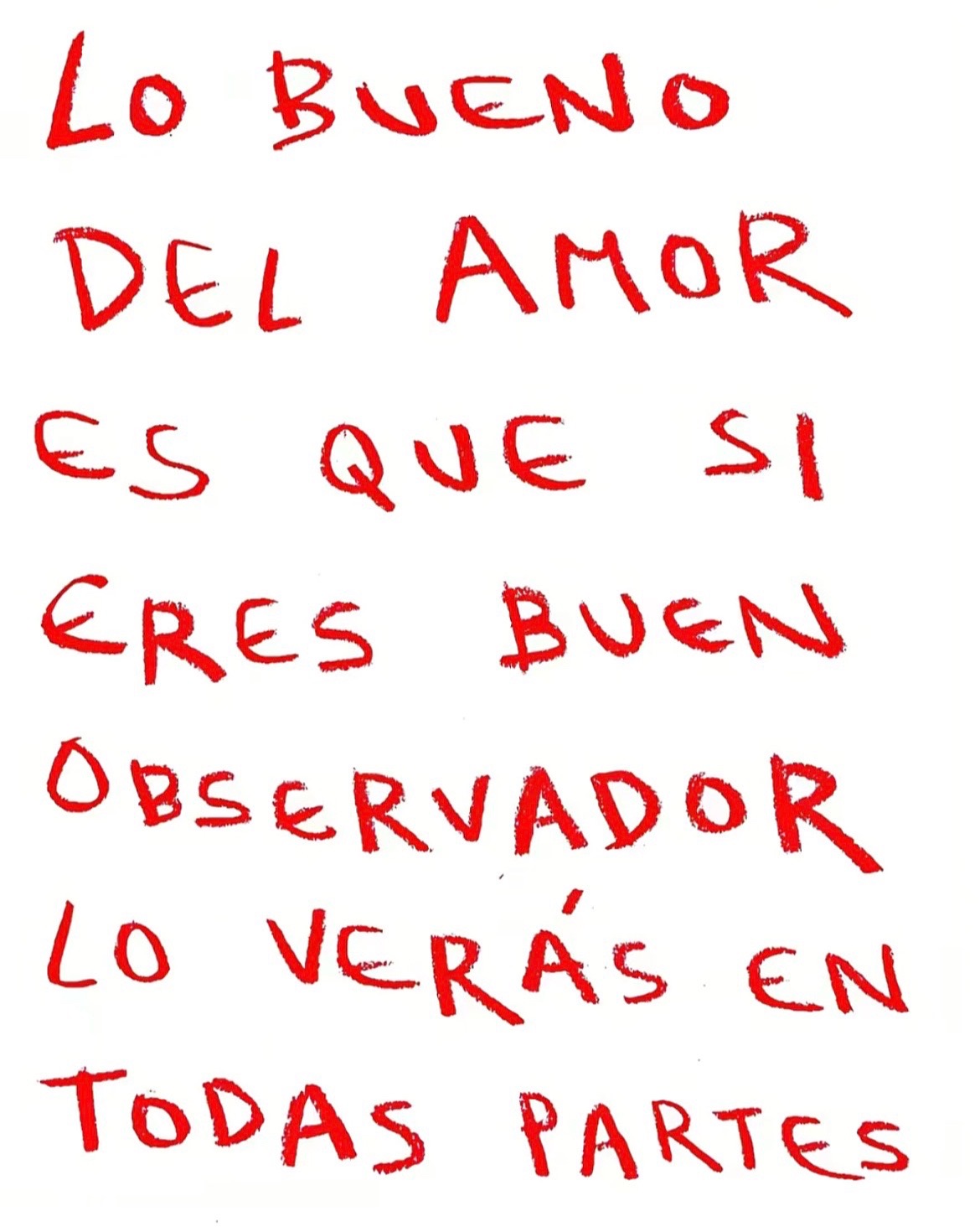@sofiass6351940