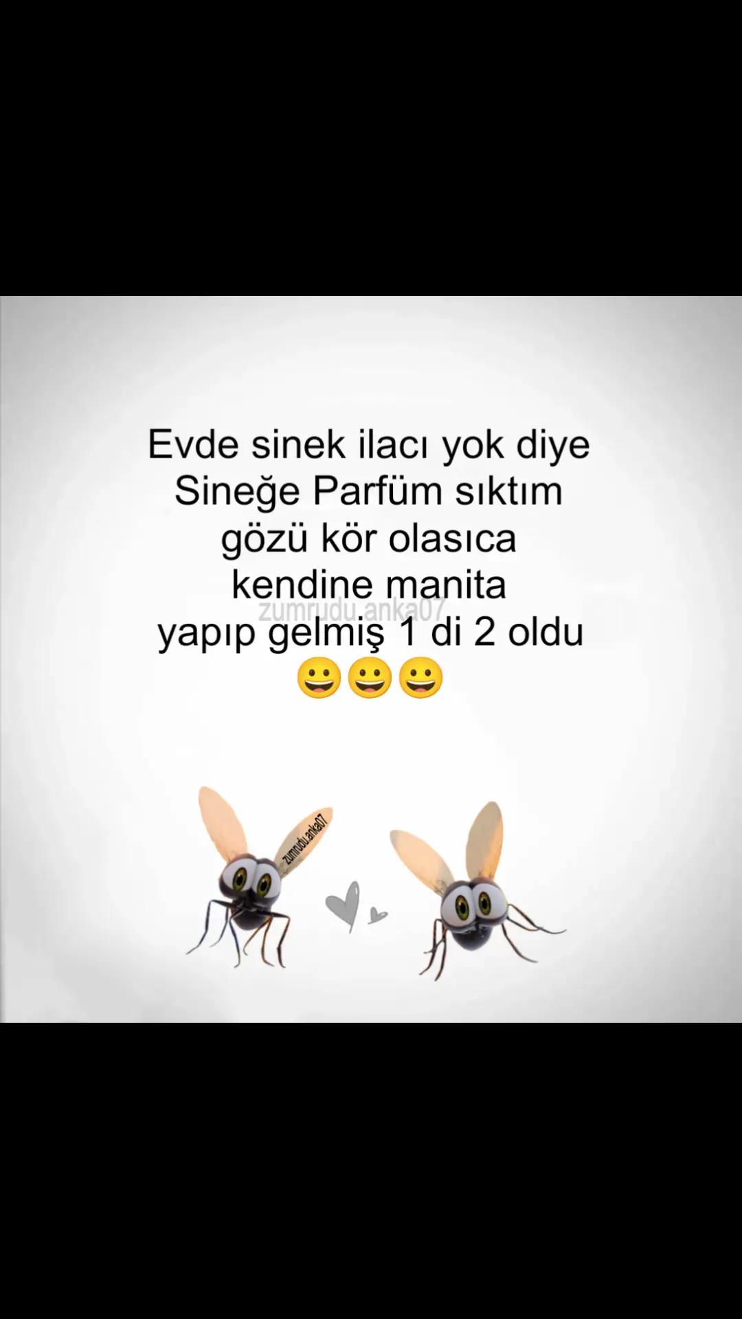 @Zumrudu.anka07