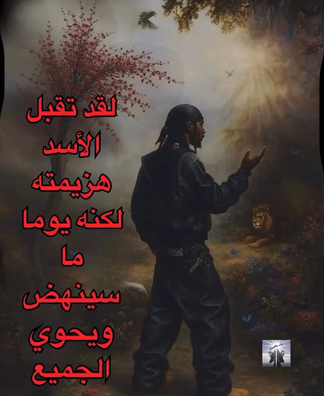 @𝓘🌴𝓢𝓜𝓐𝓘𝓛