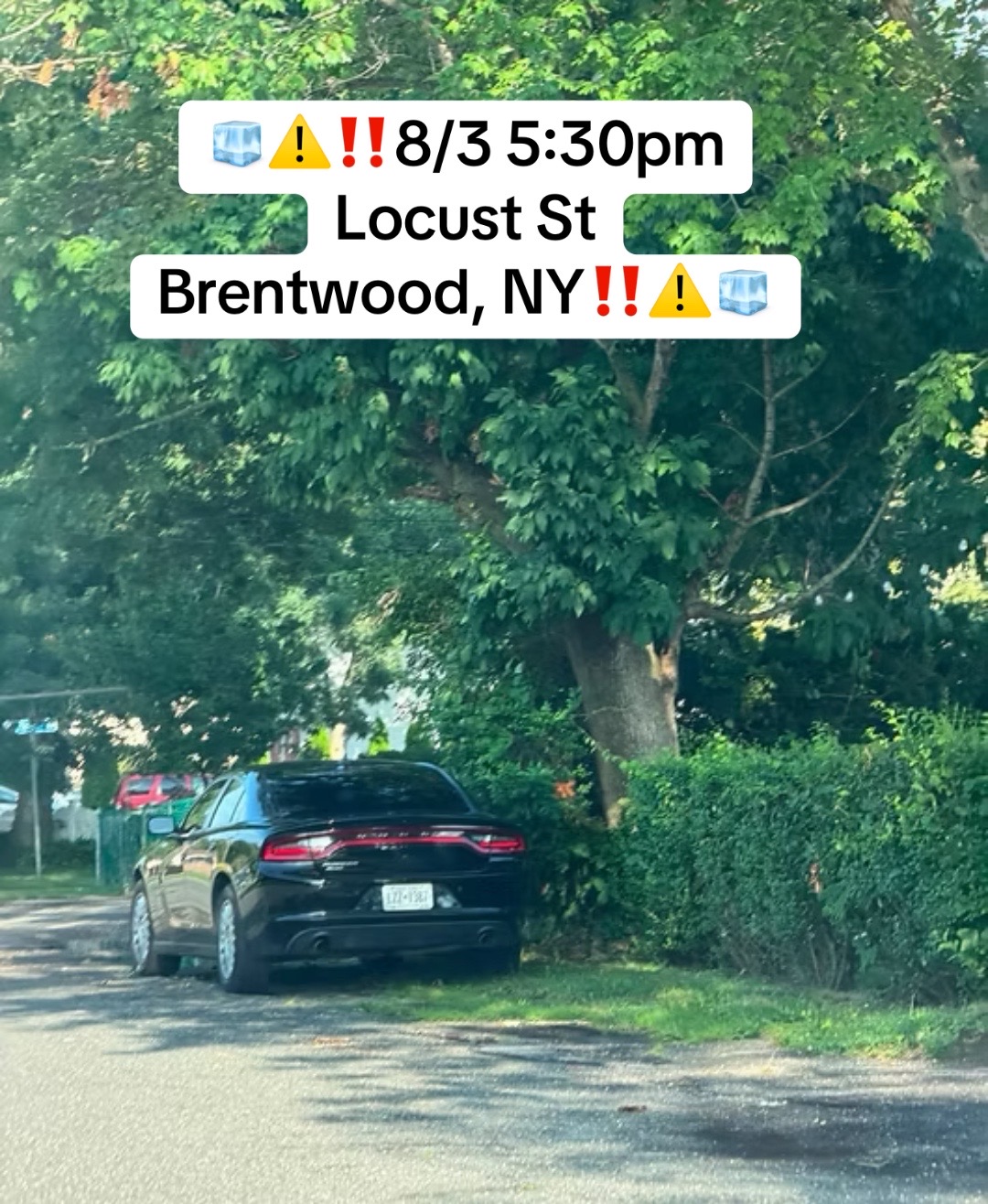 @Salvadoreños NY