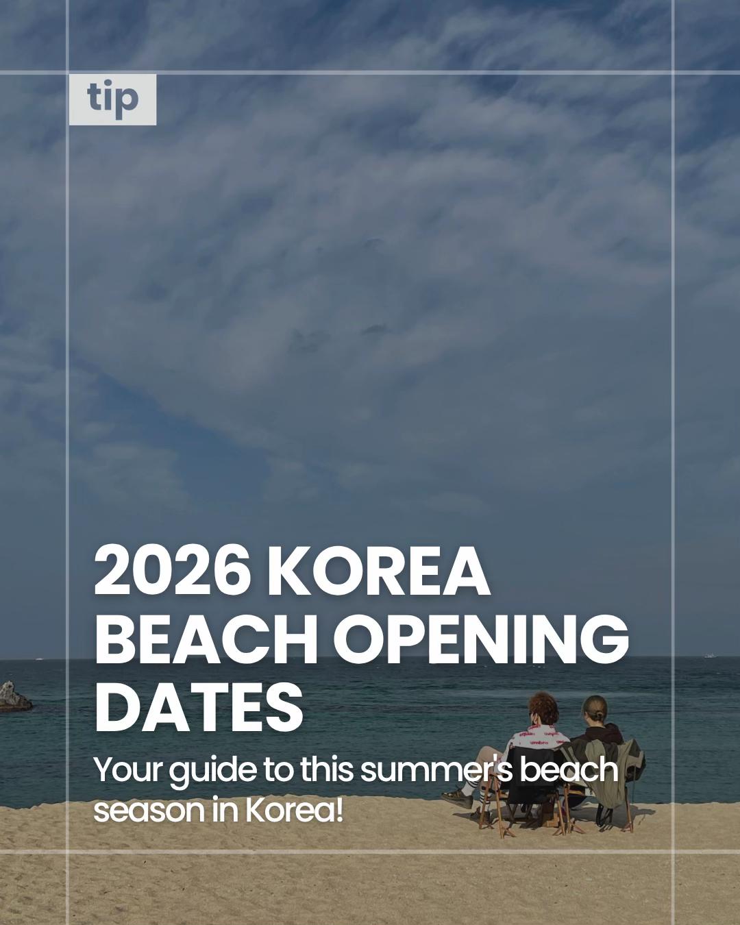 @Korea Insider