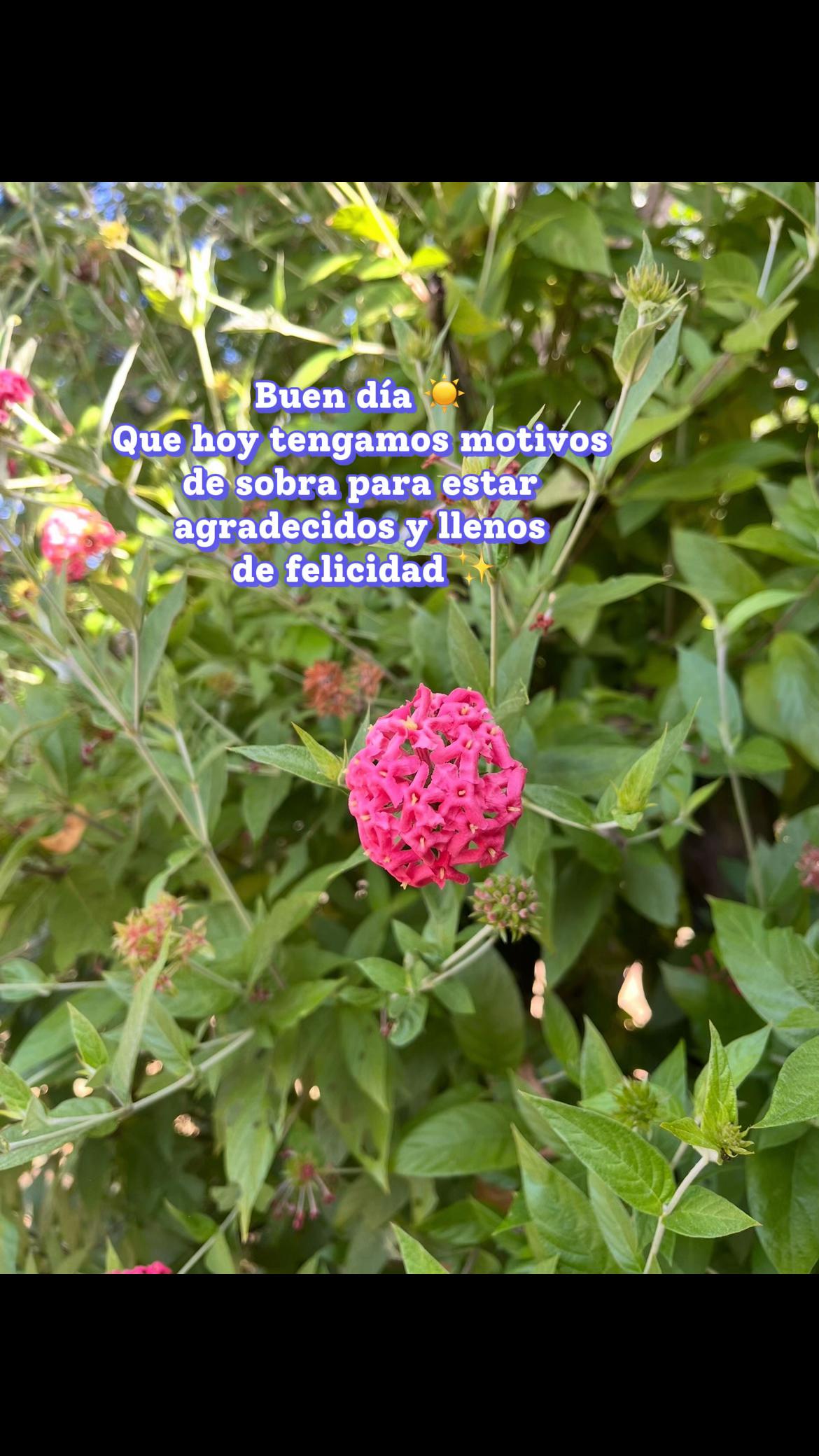 @Marifer Mora 👩🏻⚕️