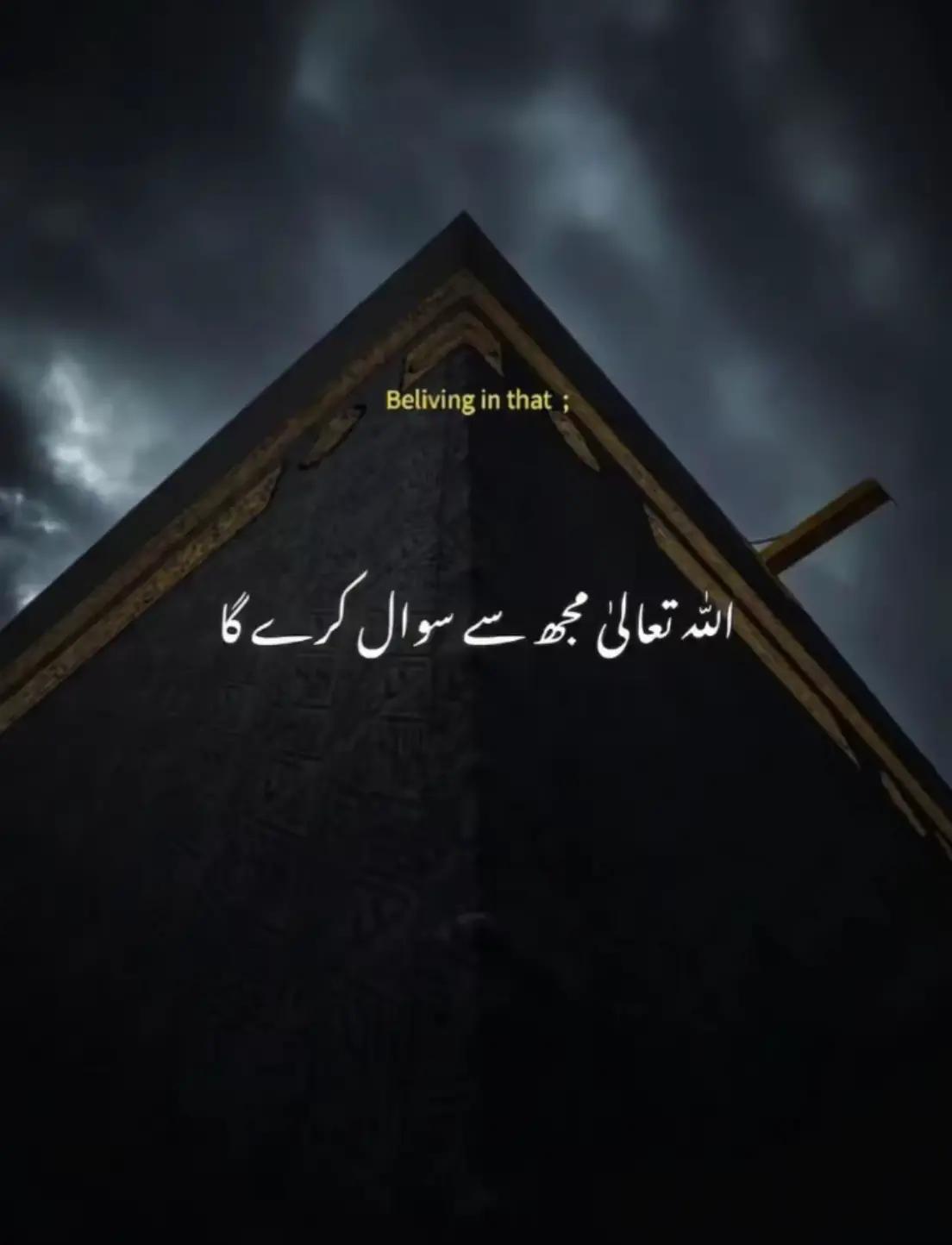 @HUMAIR. 46🐯🐯
