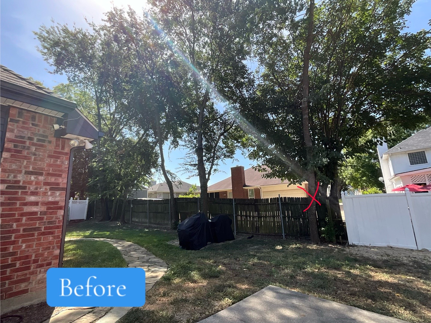 @Live Oak Tree Service
