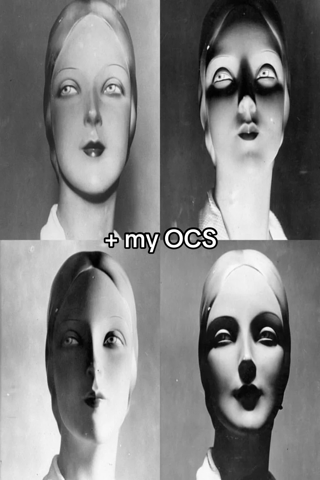@opus