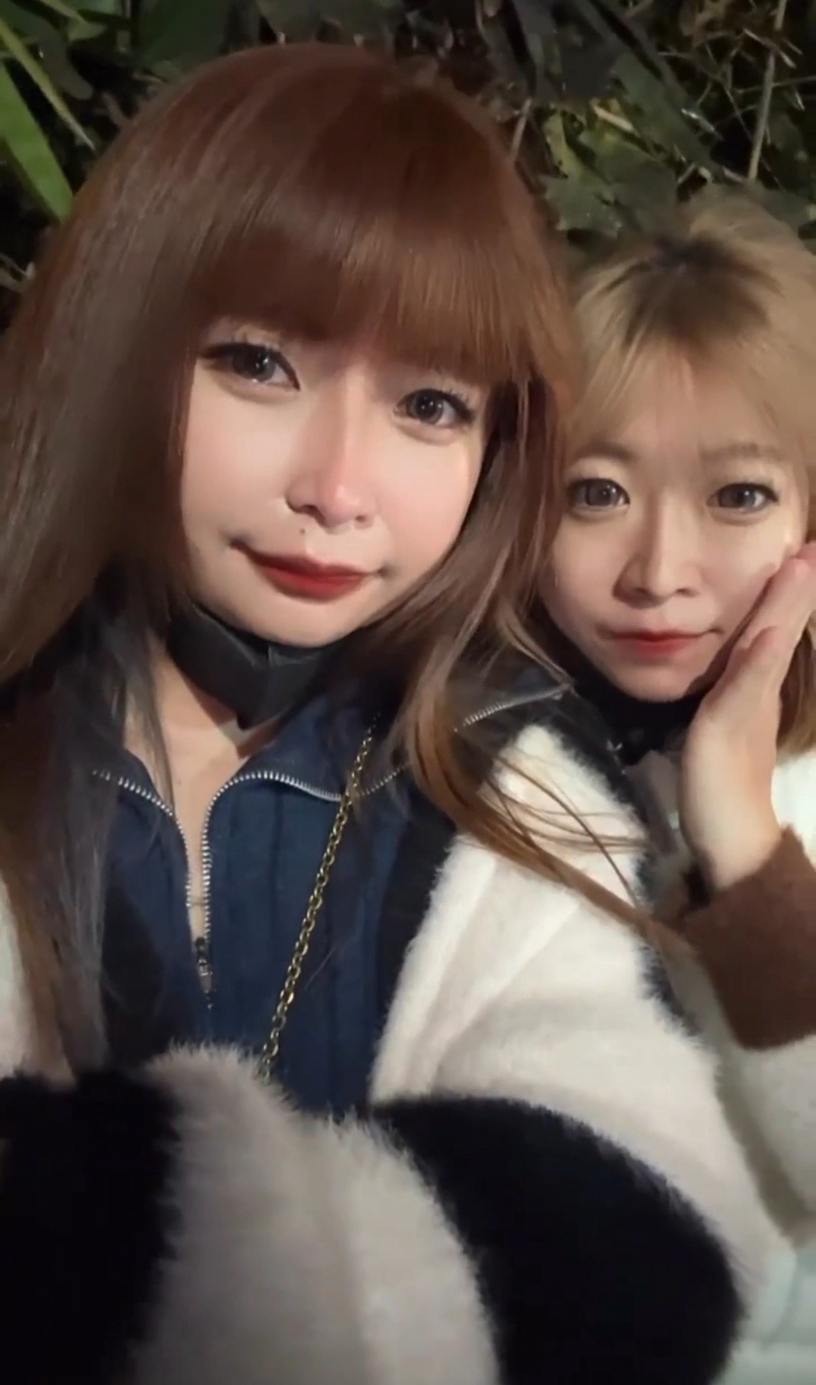 @魏