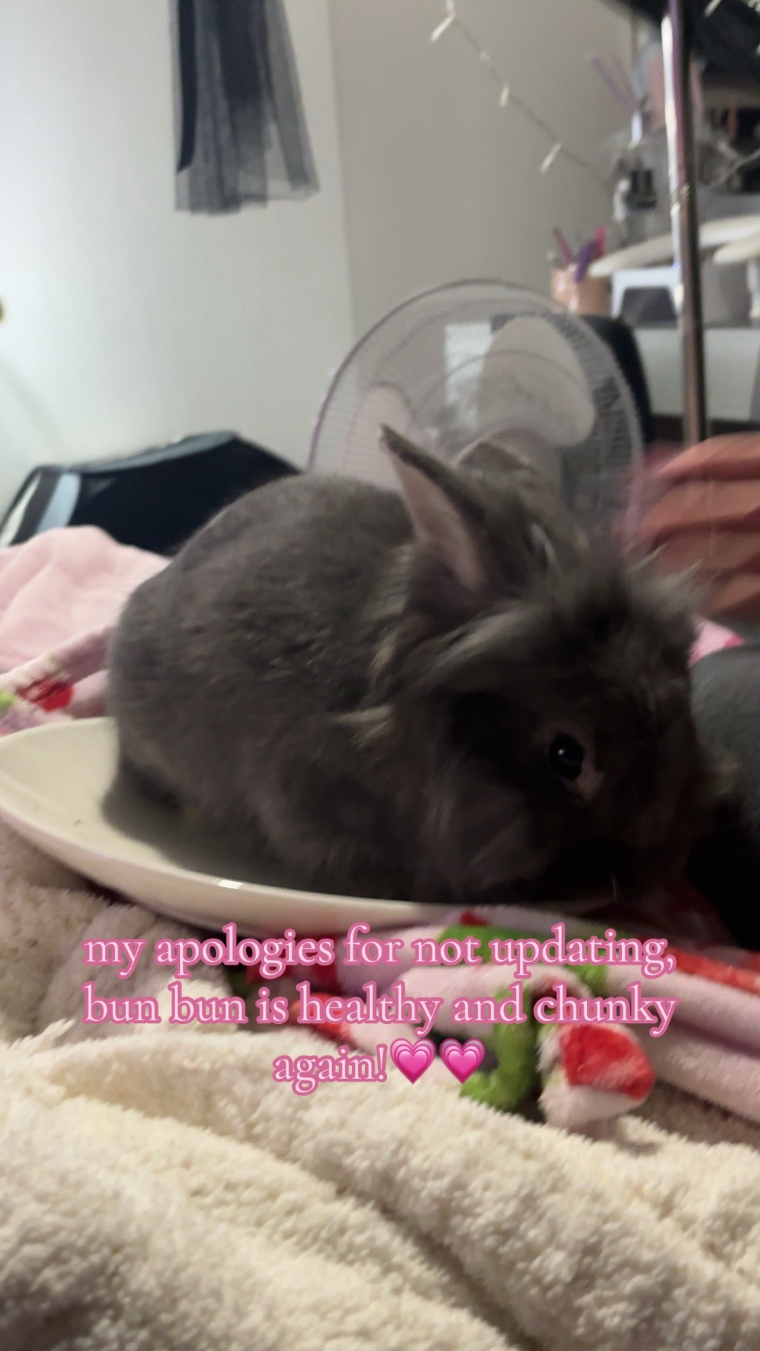 @bunbun & binky