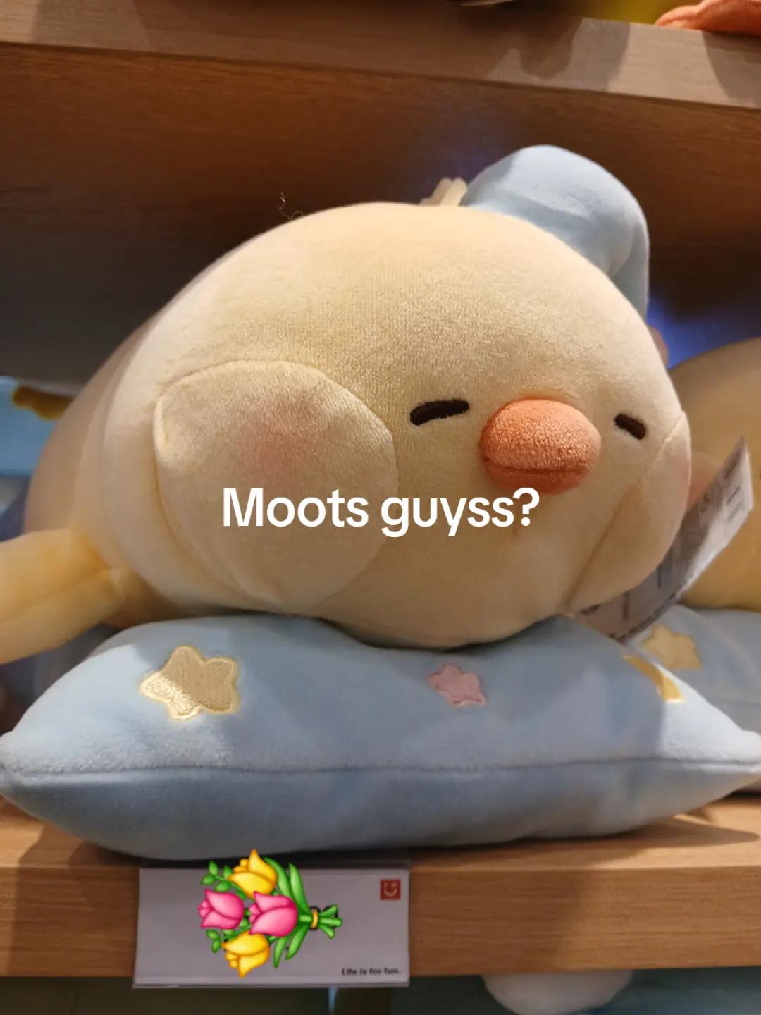@nouww💐